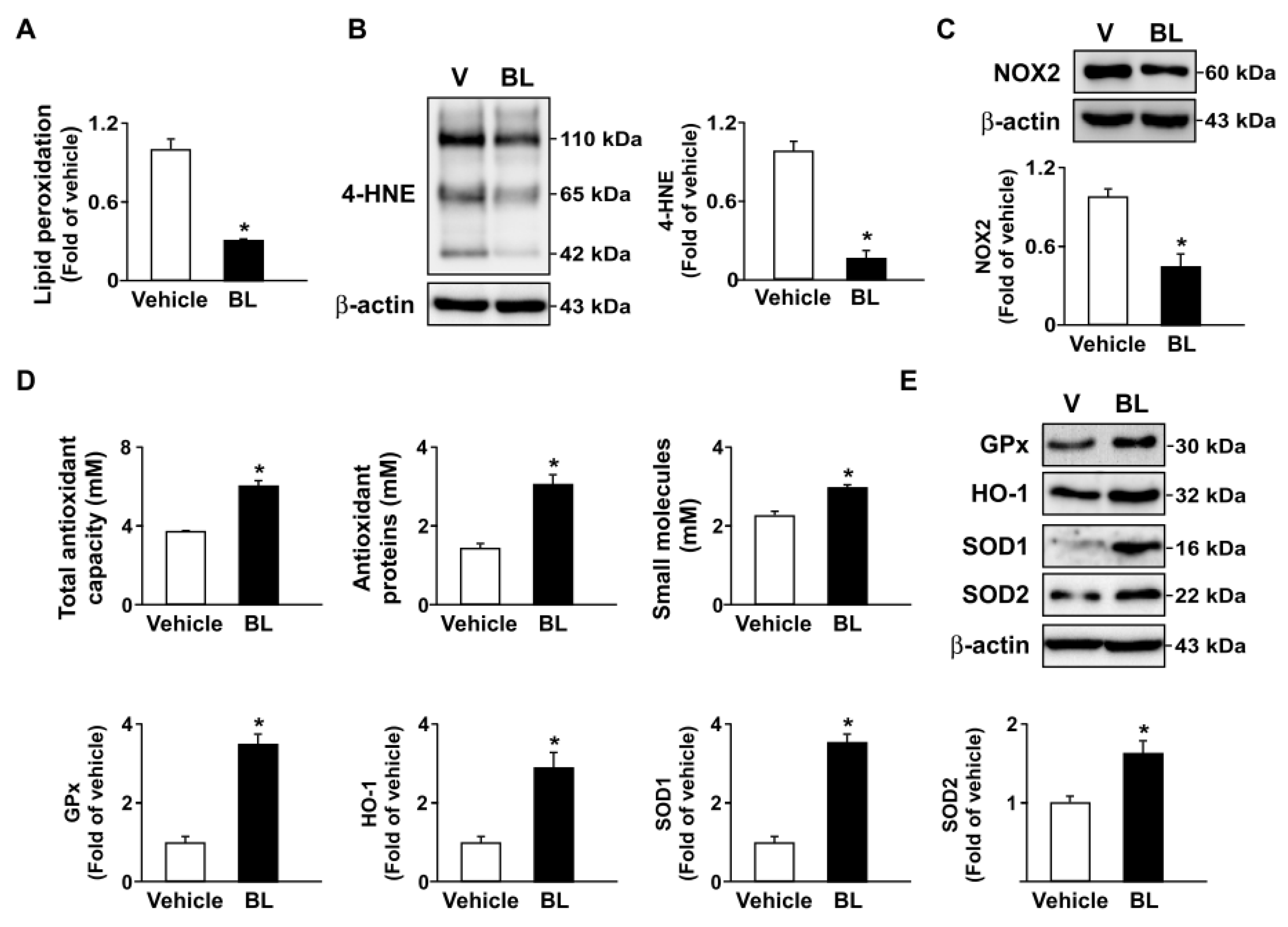 Antioxidants 12 00072 g008
