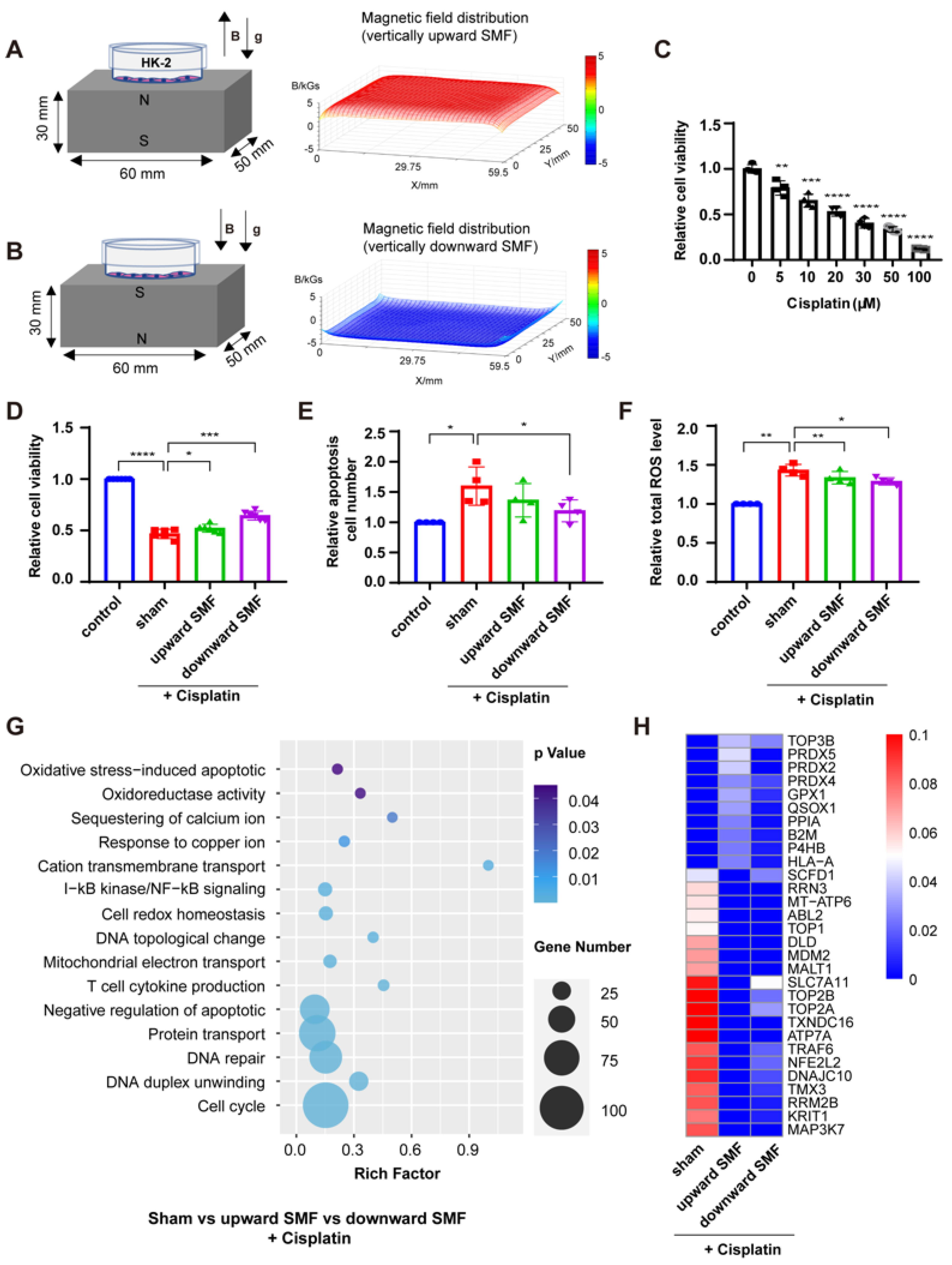 Antioxidants 12 00073 g001
