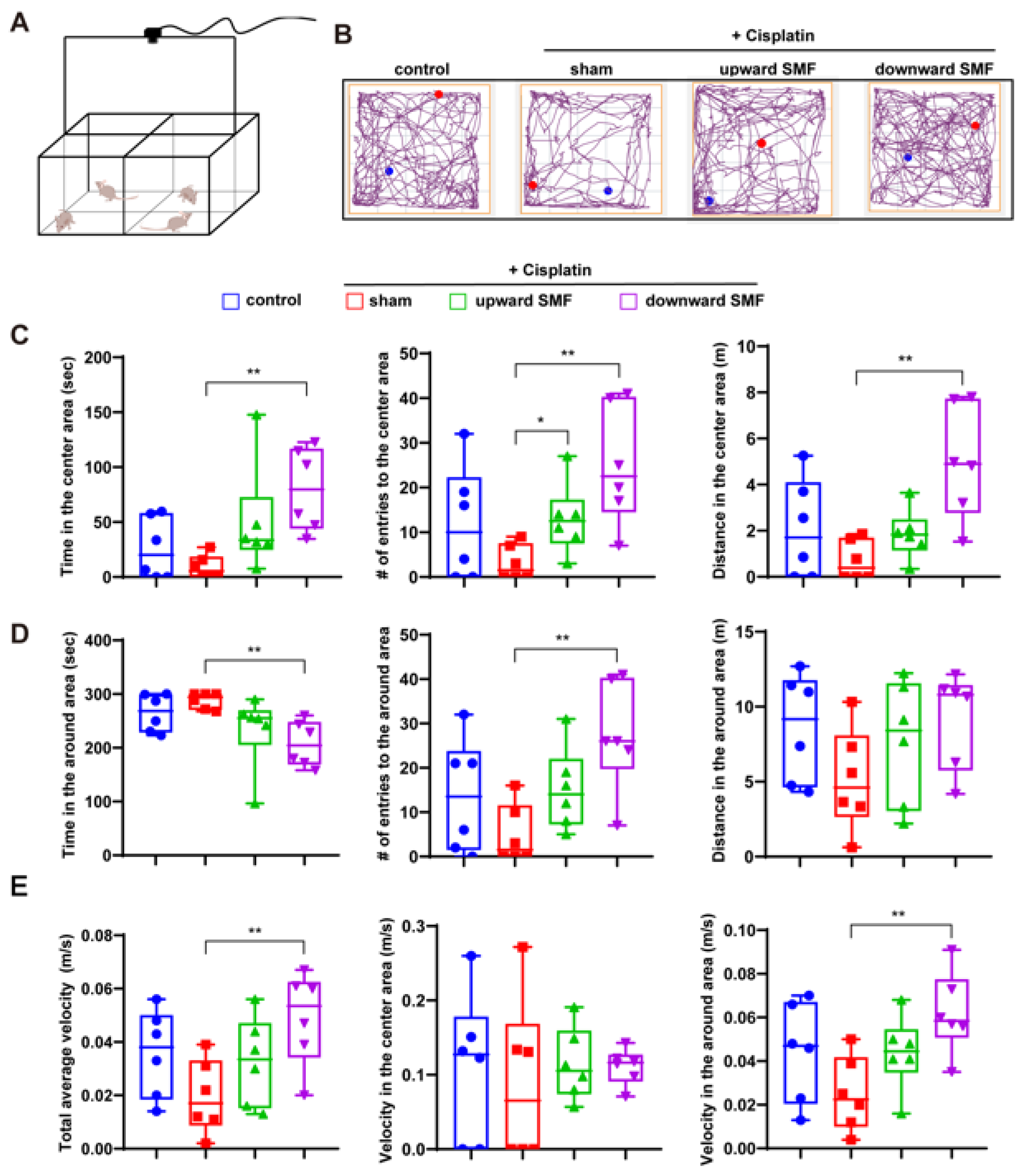 Antioxidants 12 00073 g003
