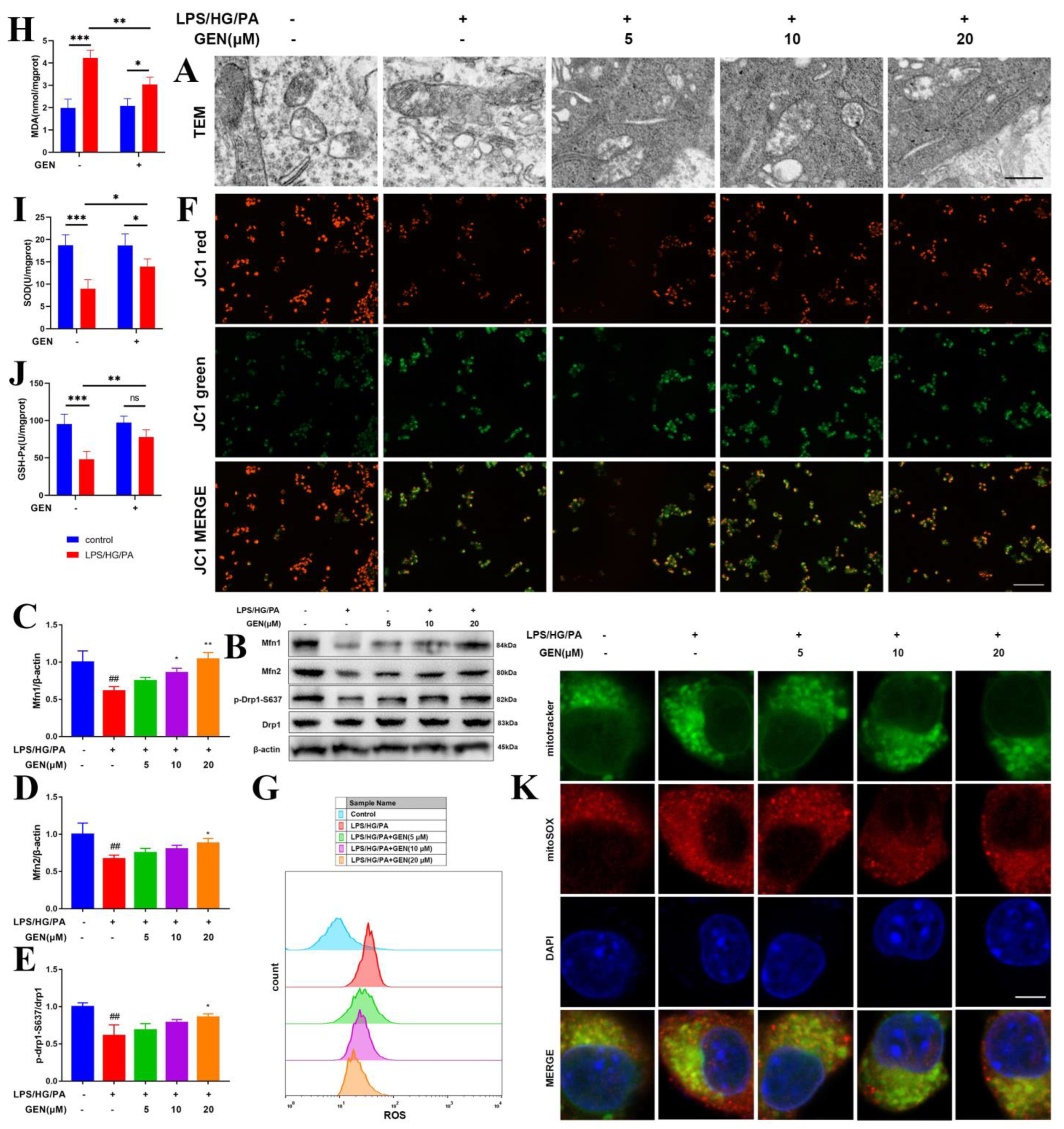 Antioxidants 12 00074 g002