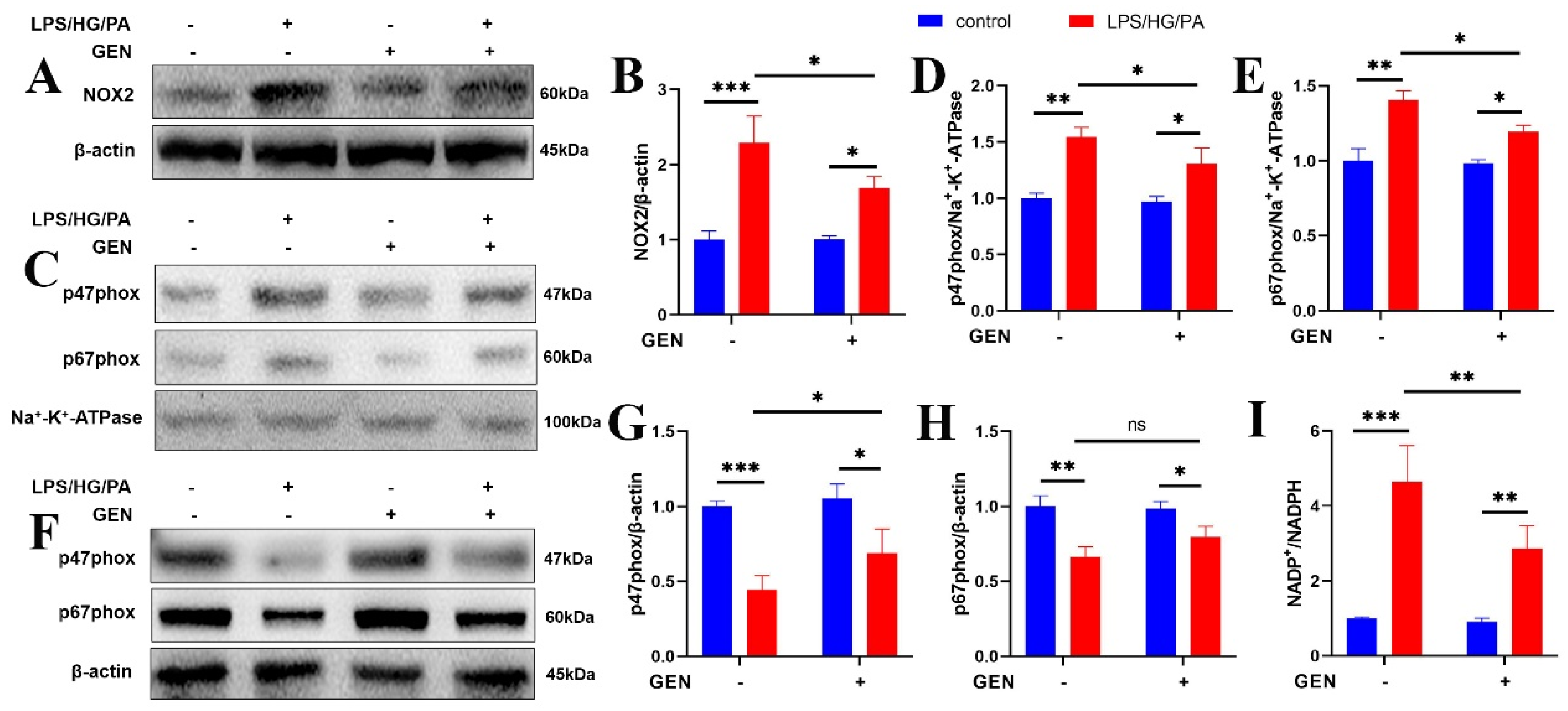 Antioxidants 12 00074 g003
