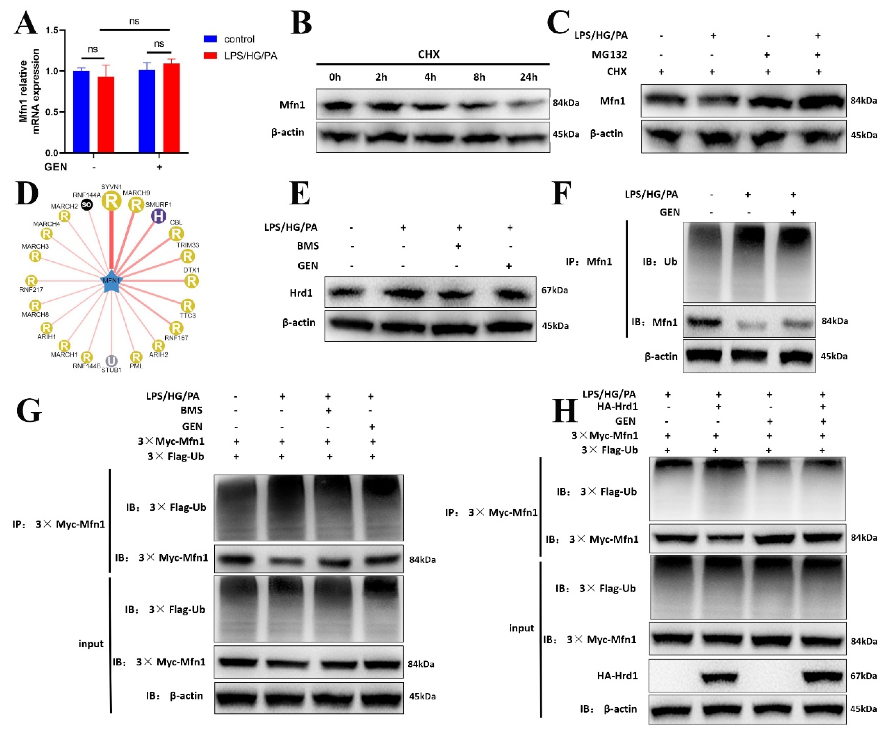 Antioxidants 12 00074 g006