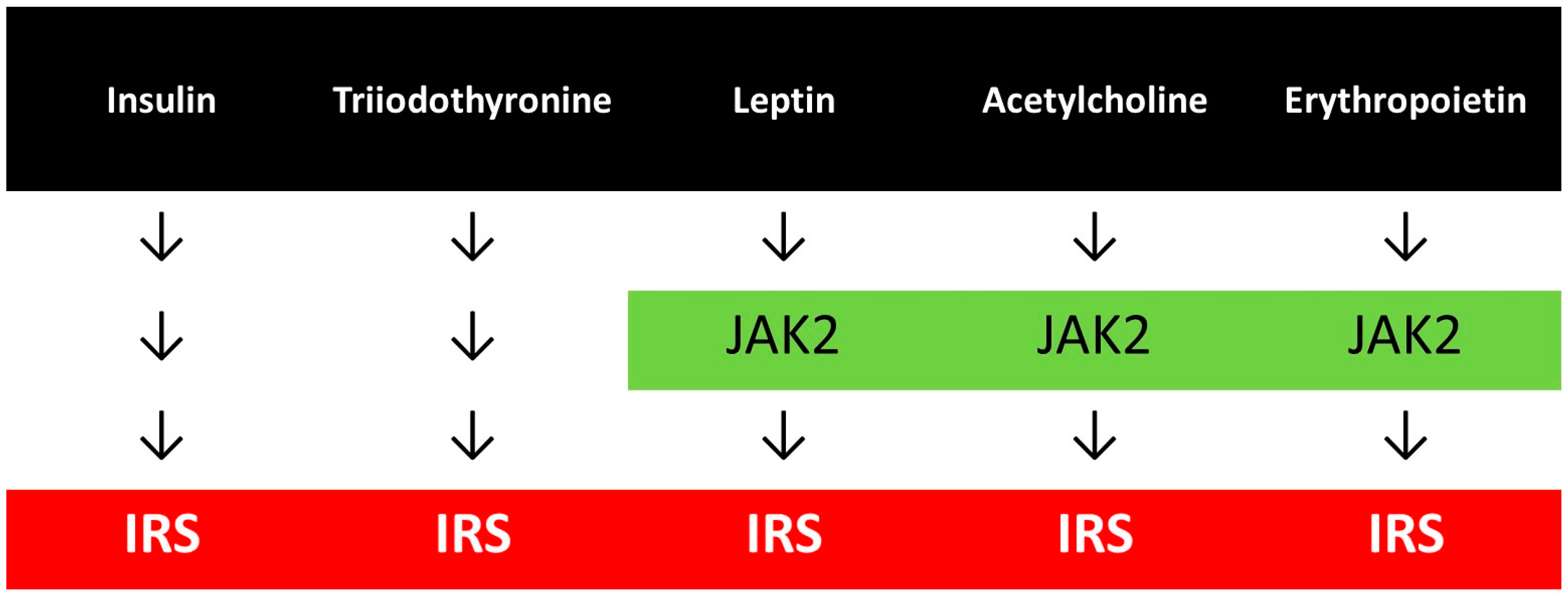 Antioxidants 12 00075 g001