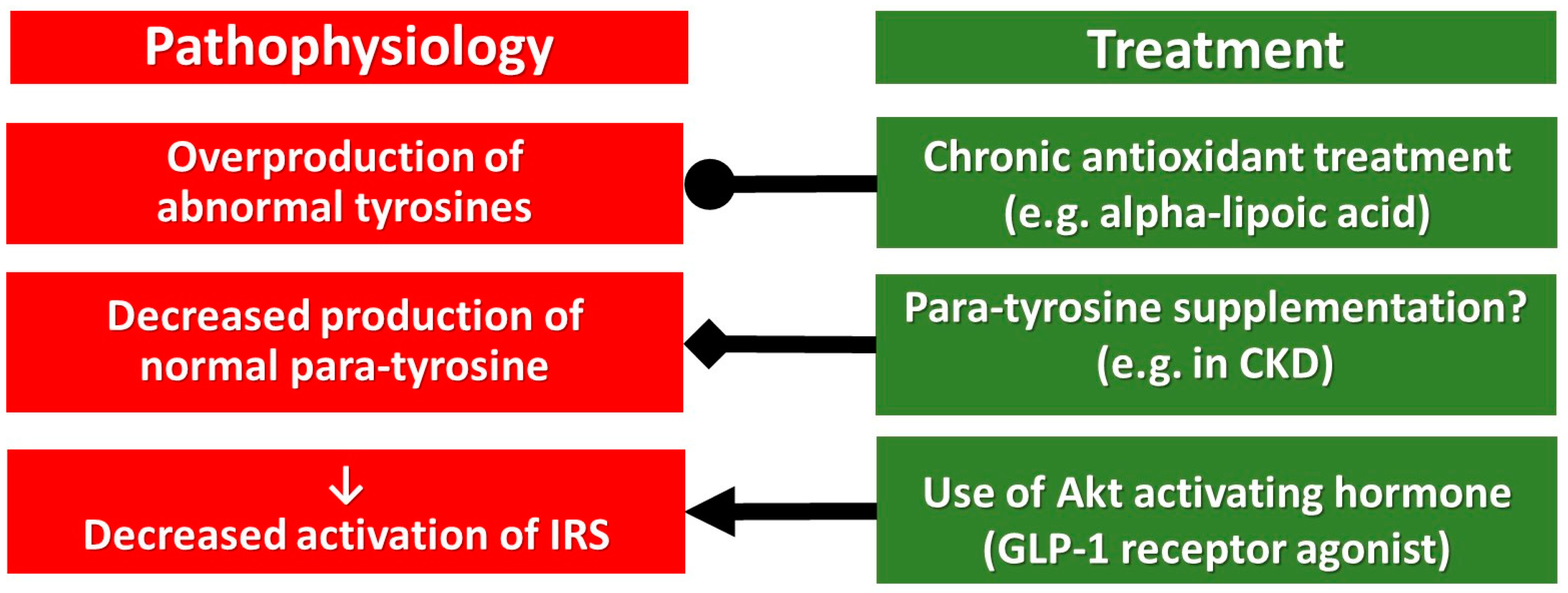 Antioxidants 12 00075 g003