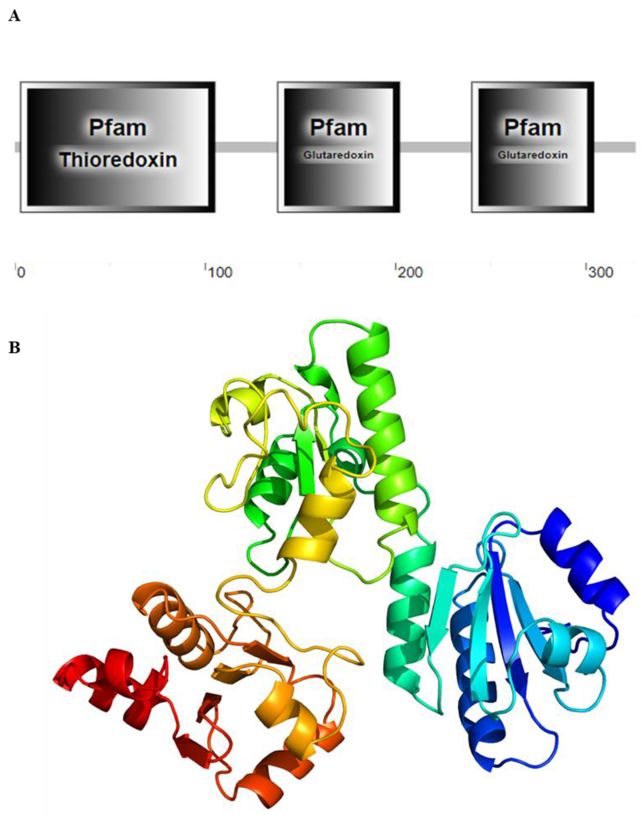 Antioxidants 12 00076 g002