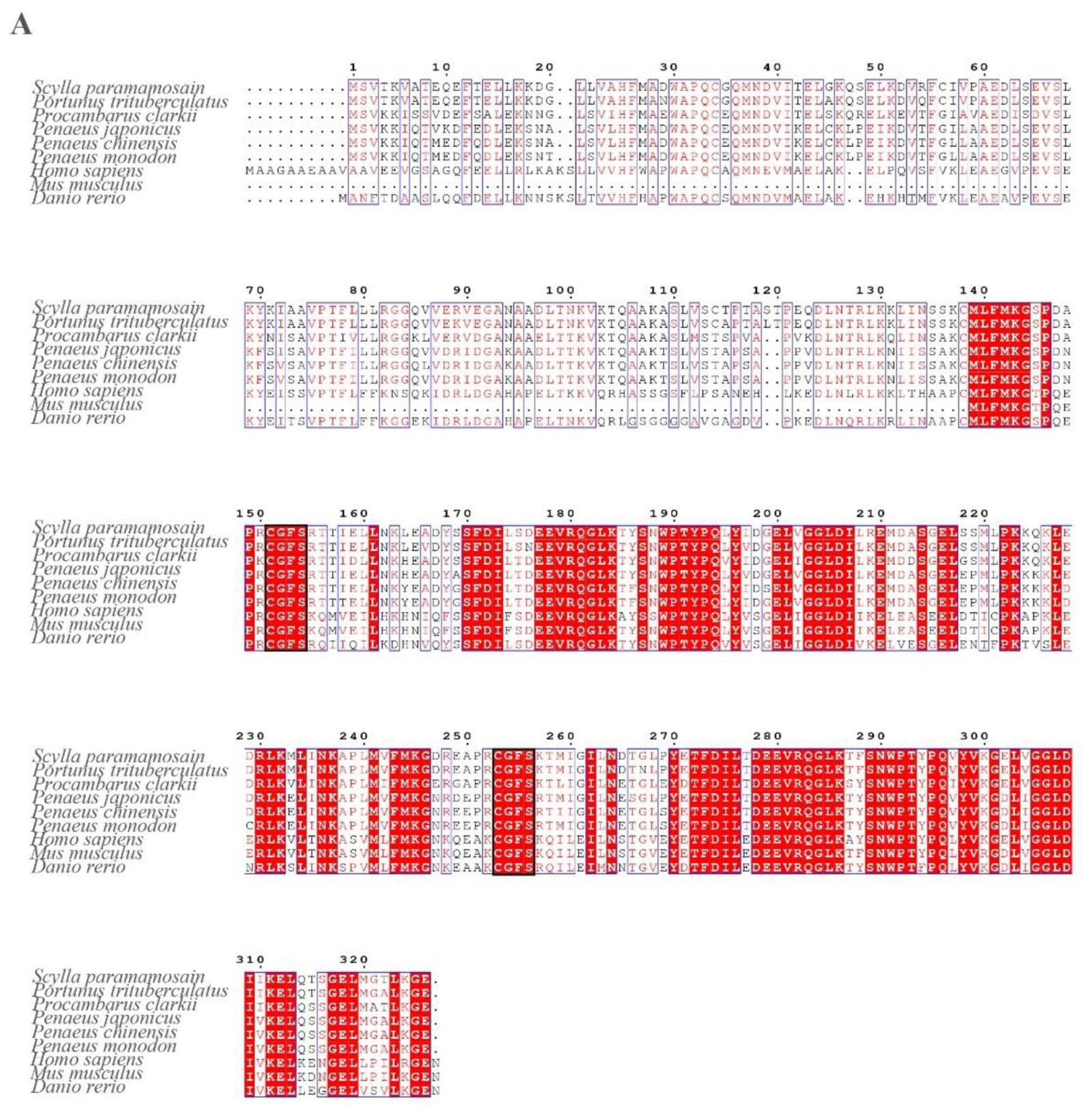 Antioxidants 12 00076 g003a