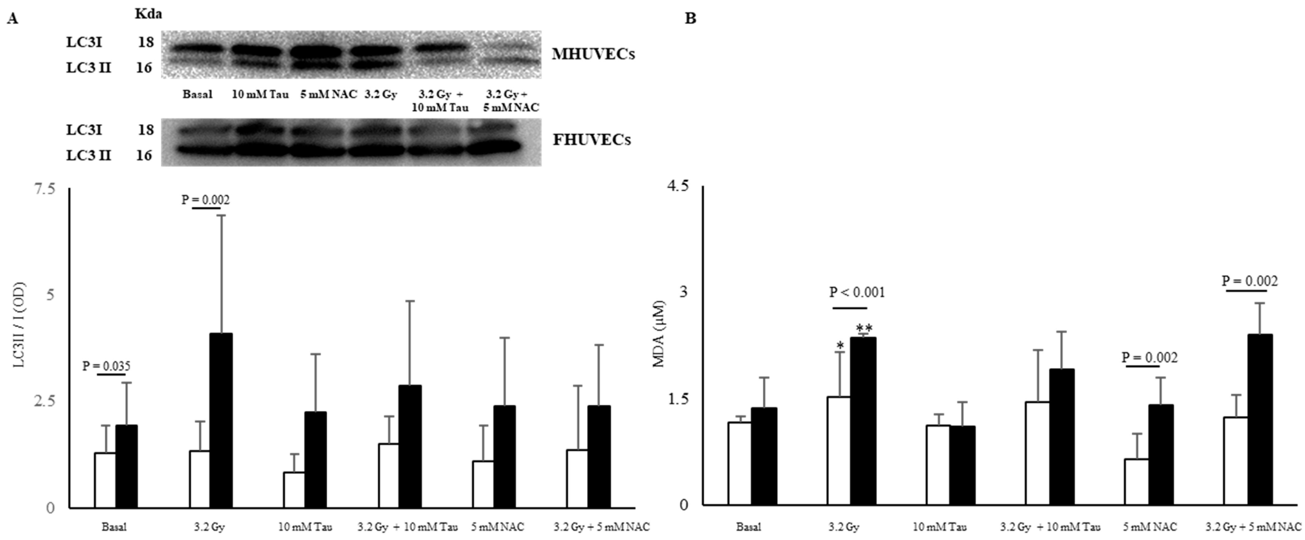 Antioxidants 12 00077 g003 Antioxidants 12 00077 g003