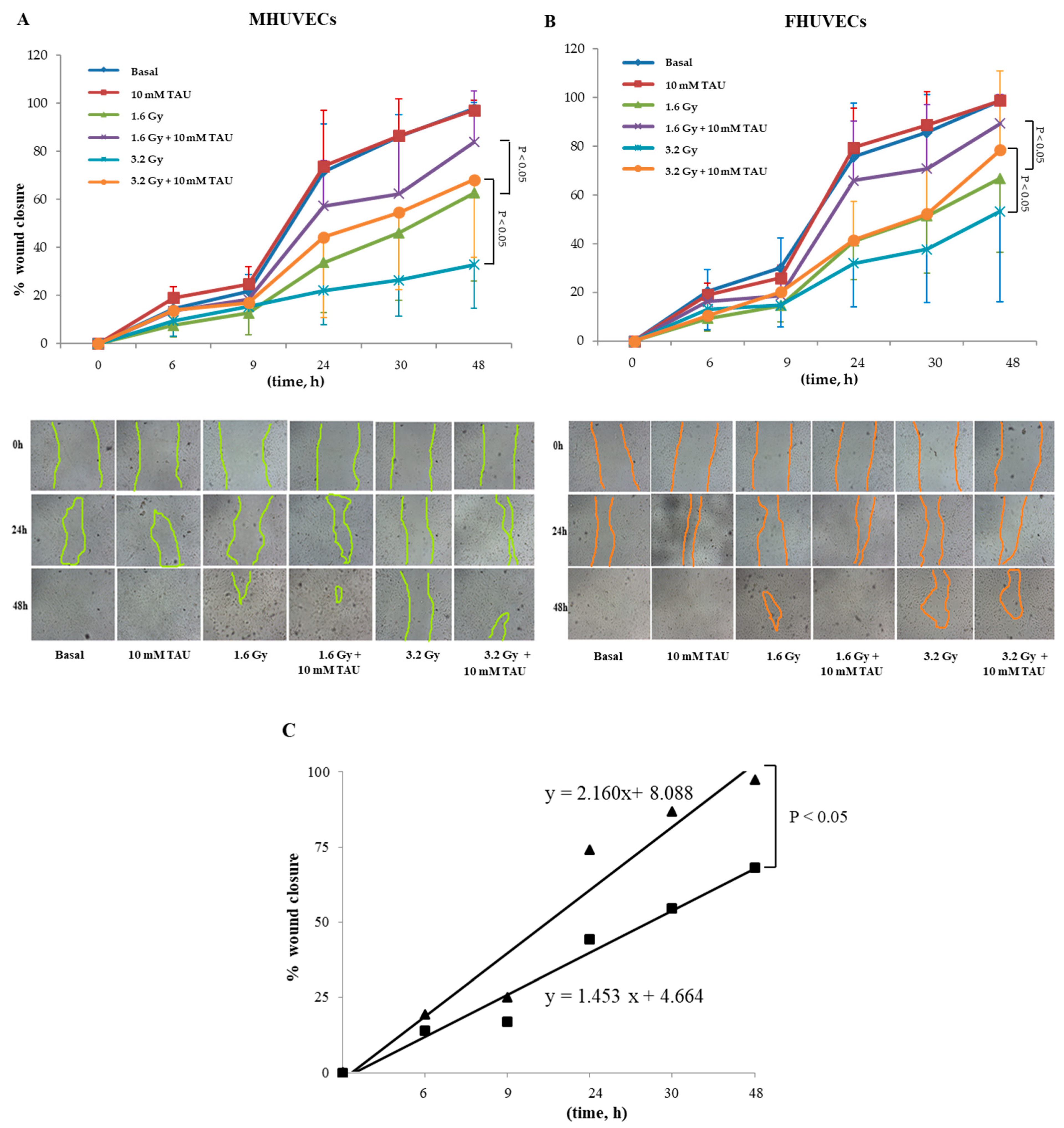 Antioxidants 12 00077 g004 Antioxidants 12 00077 g004