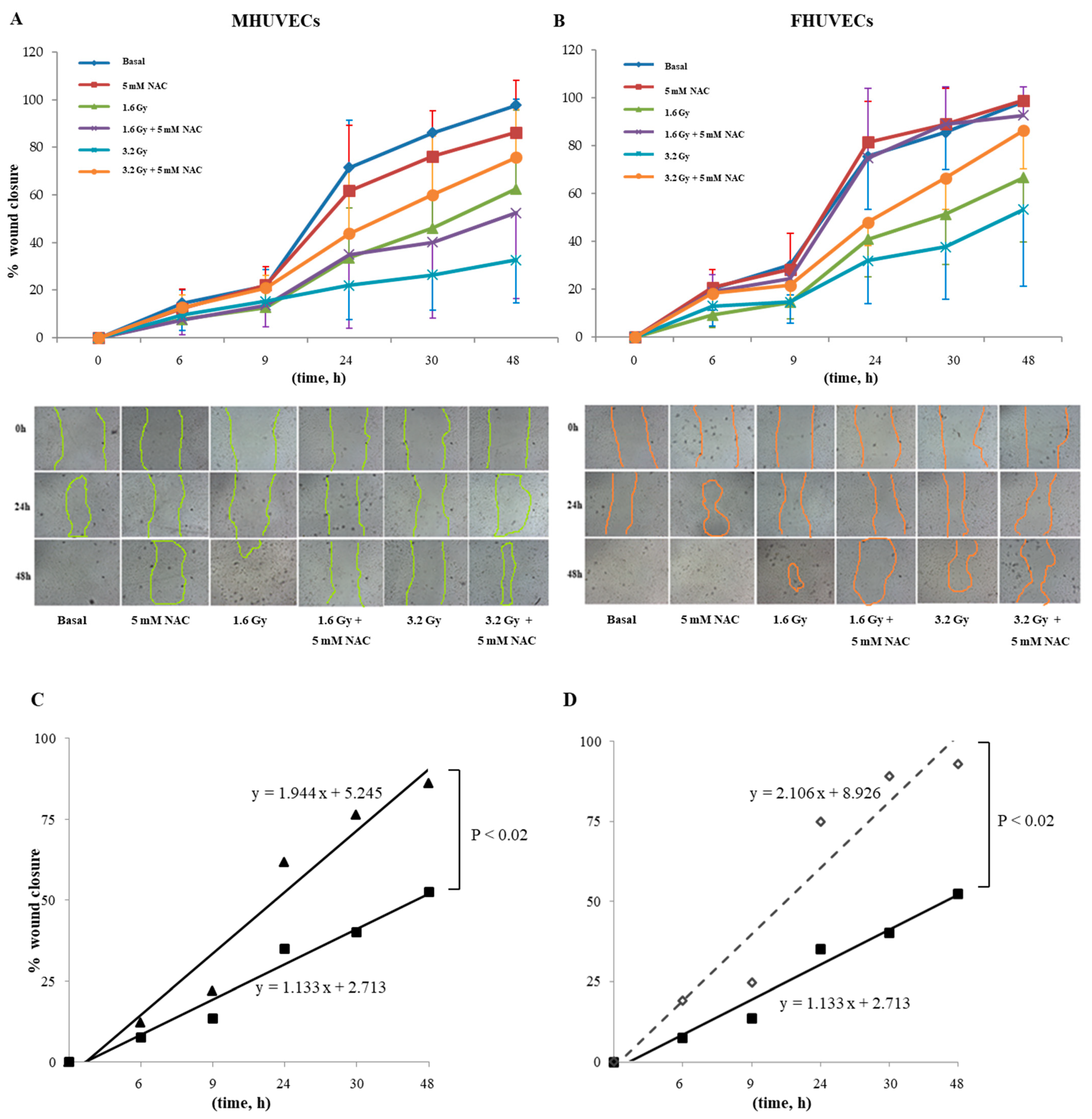 Antioxidants 12 00077 g005 Antioxidants 12 00077 g005