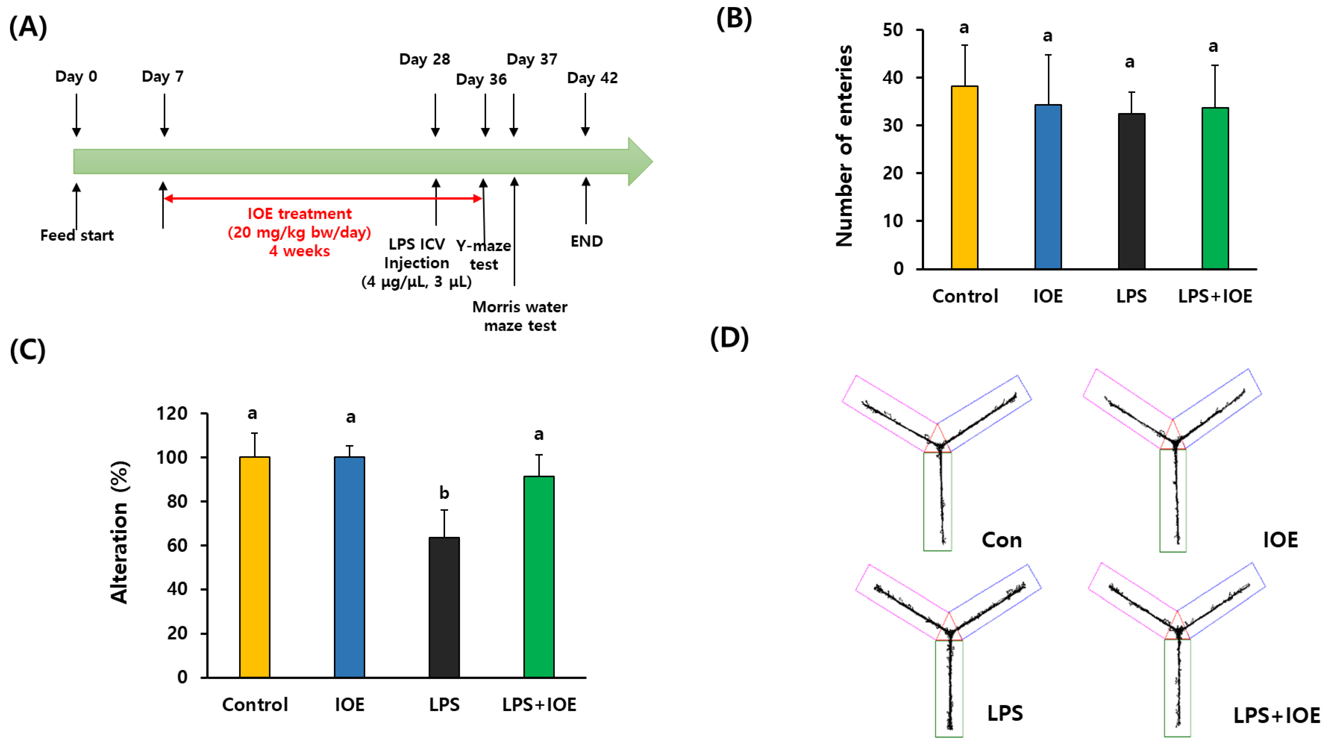 Antioxidants 12 00078 g001