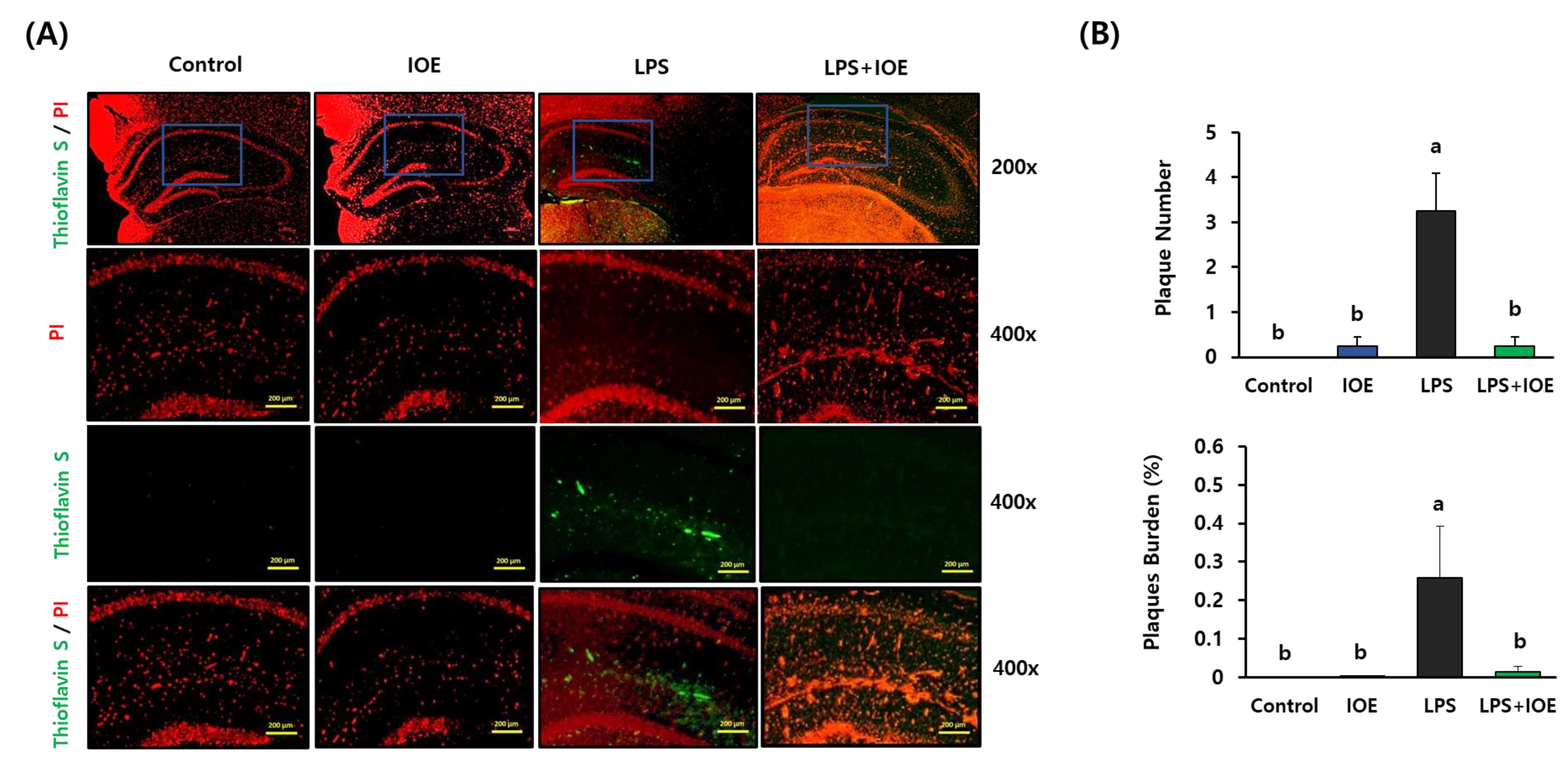 Antioxidants 12 00078 g004