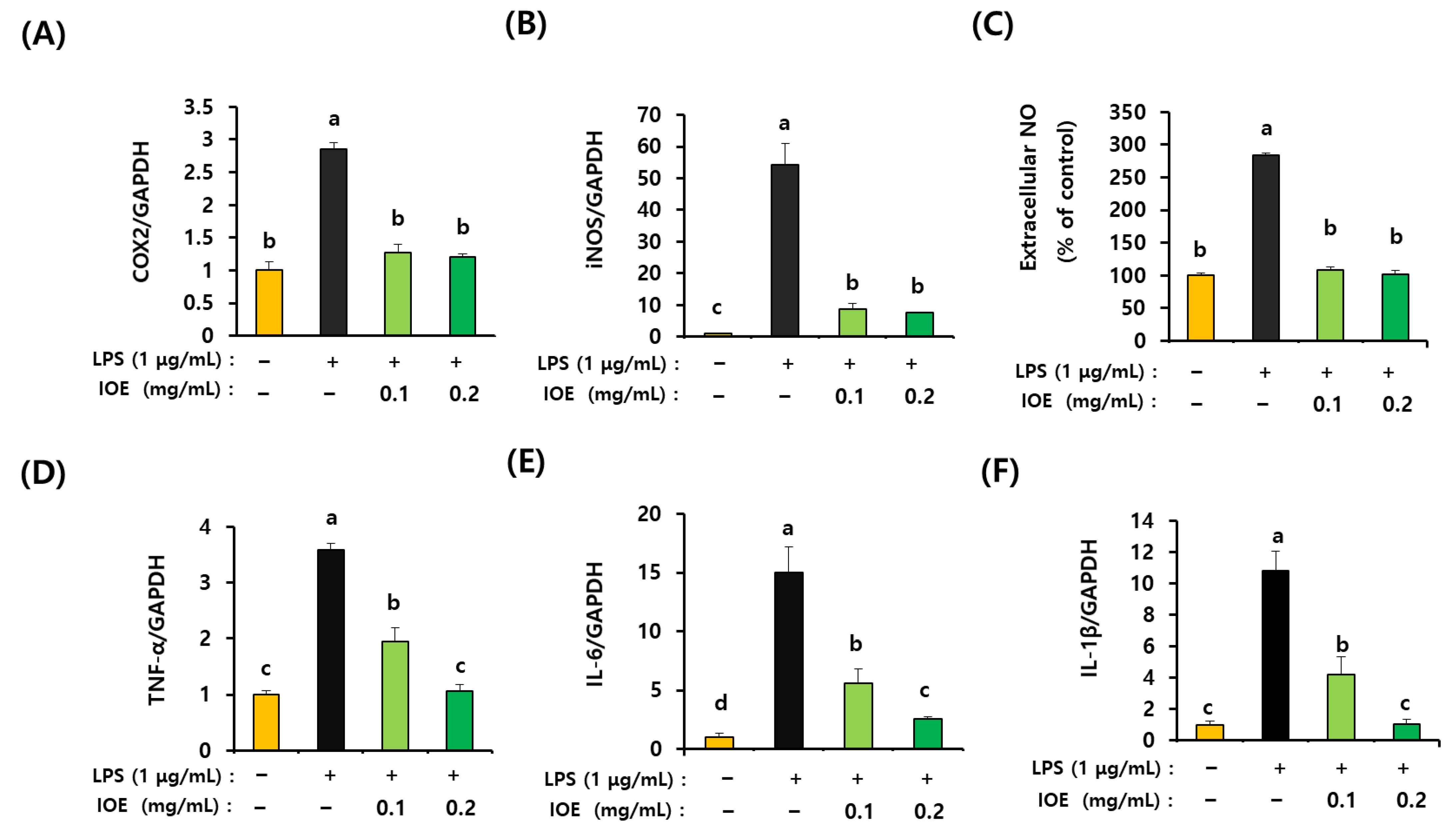 Antioxidants 12 00078 g009