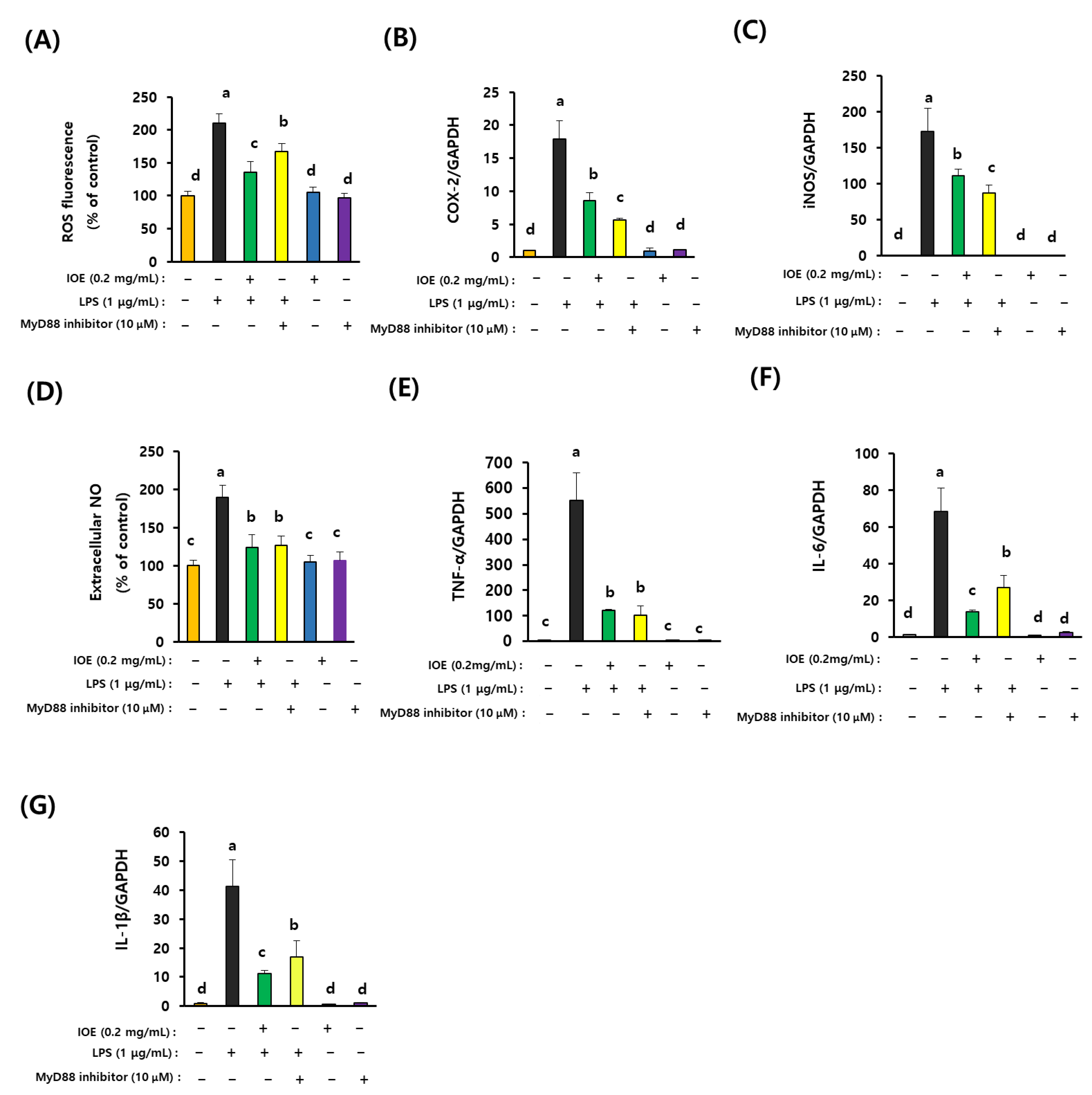 Antioxidants 12 00078 g010