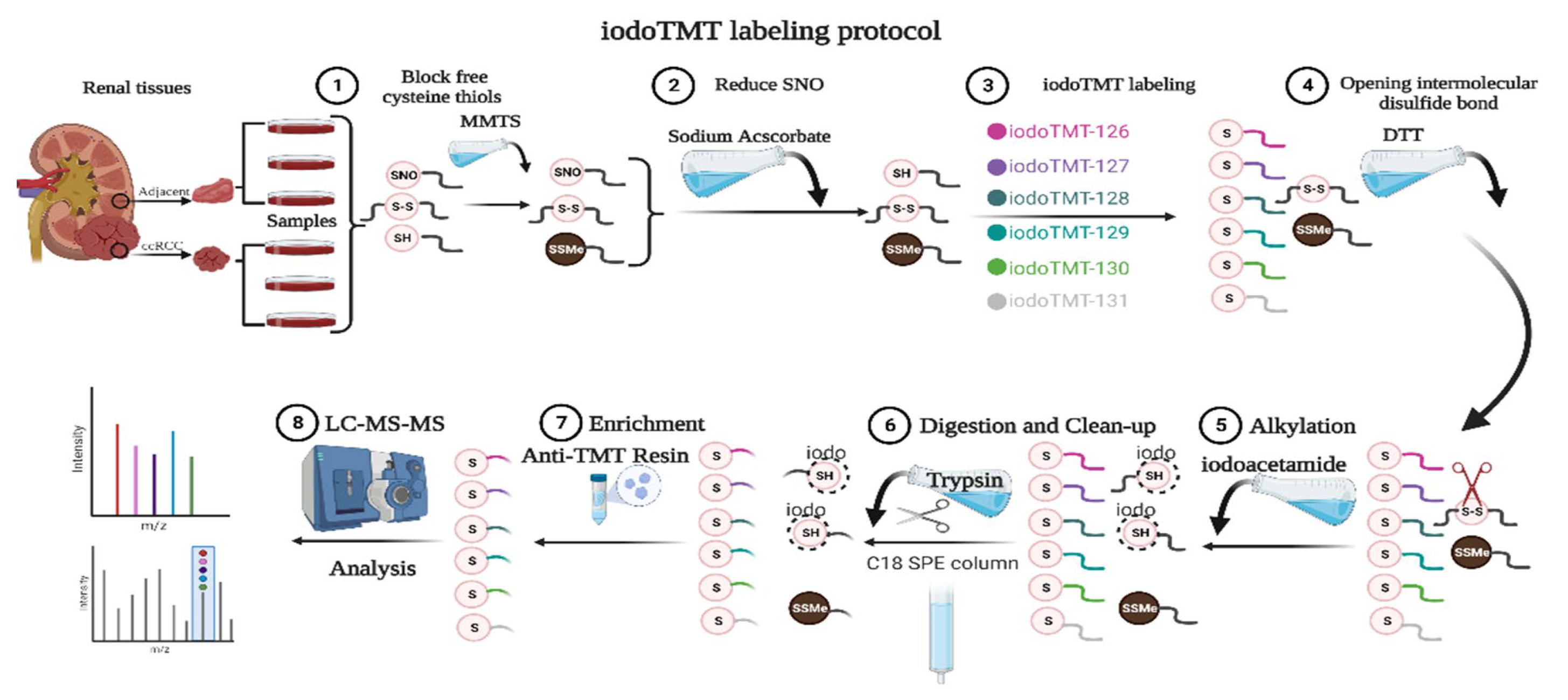 Antioxidants 12 00081 g001