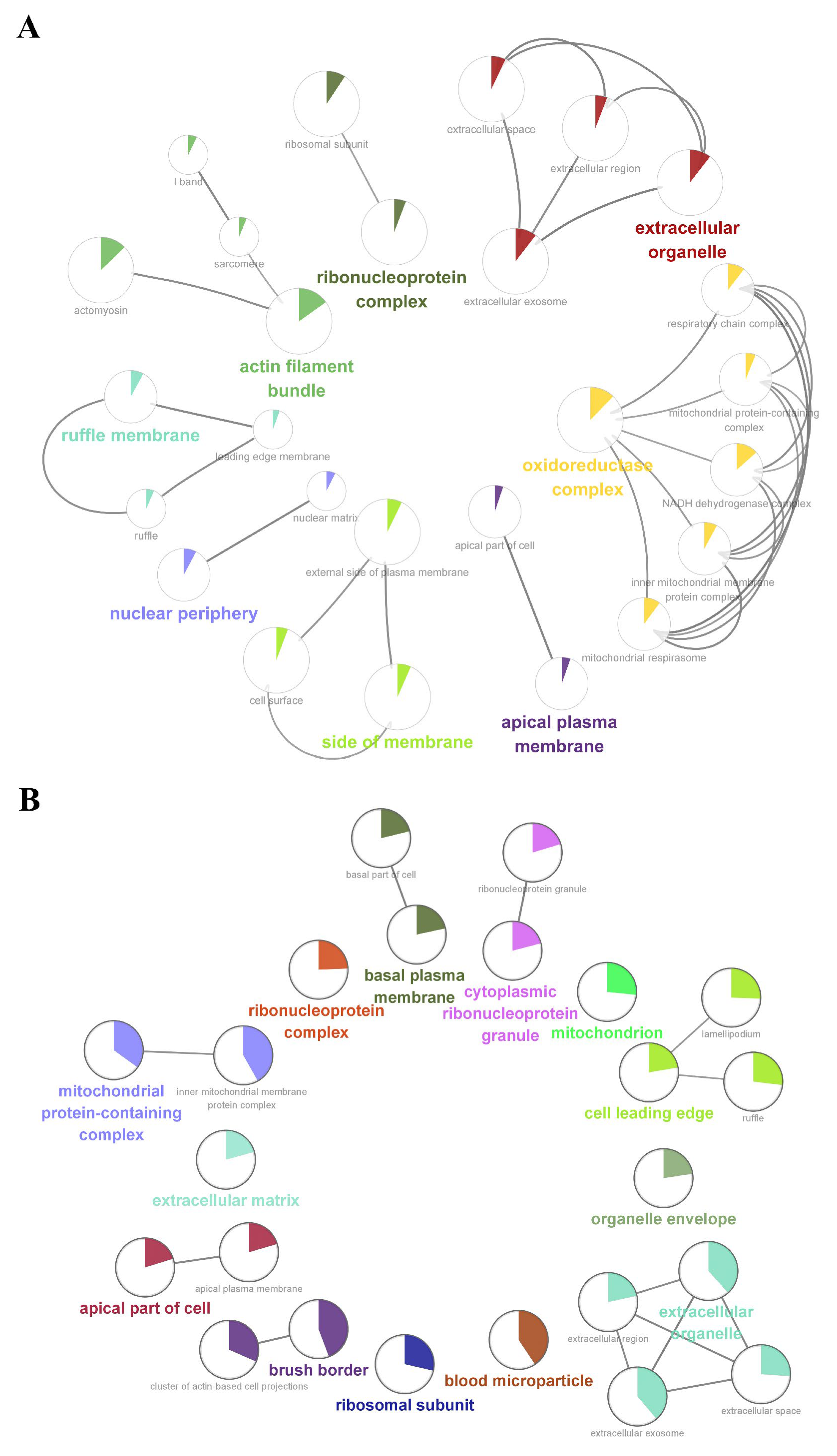 Antioxidants 12 00081 g003