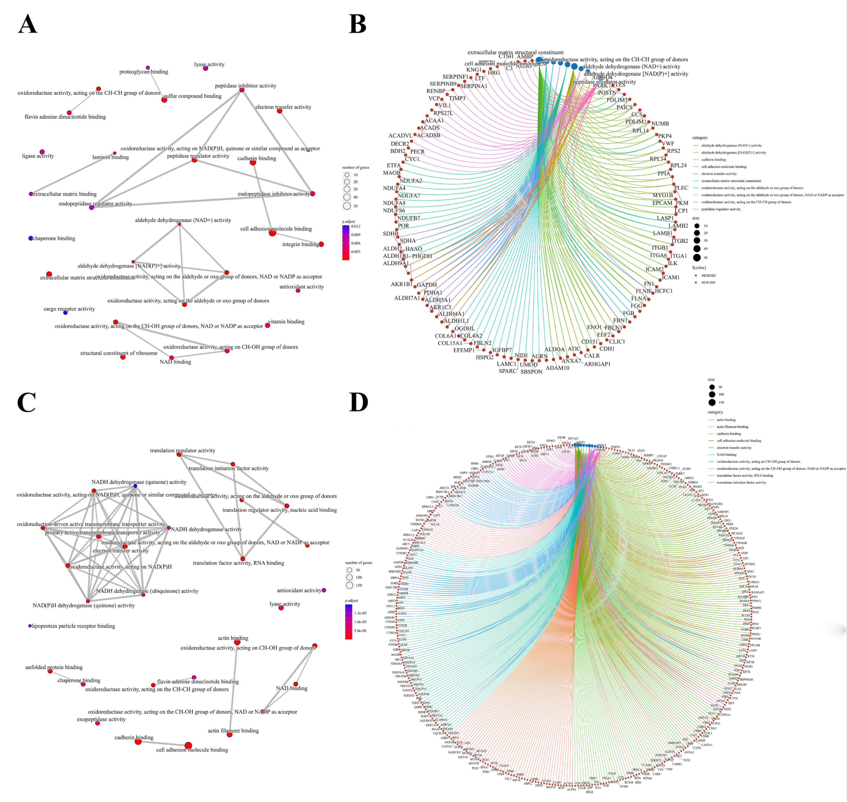 Antioxidants 12 00081 g004