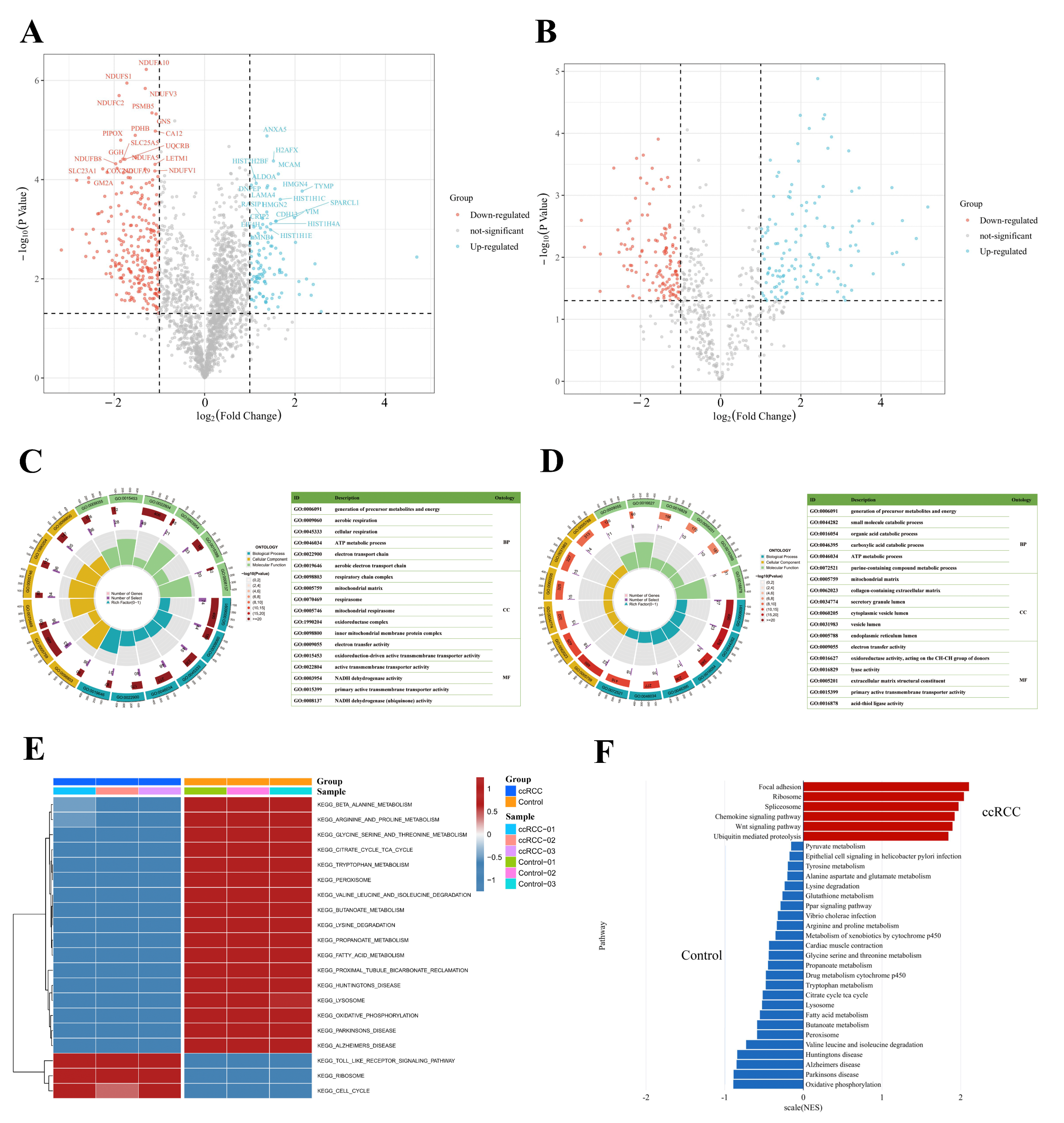 Antioxidants 12 00081 g005