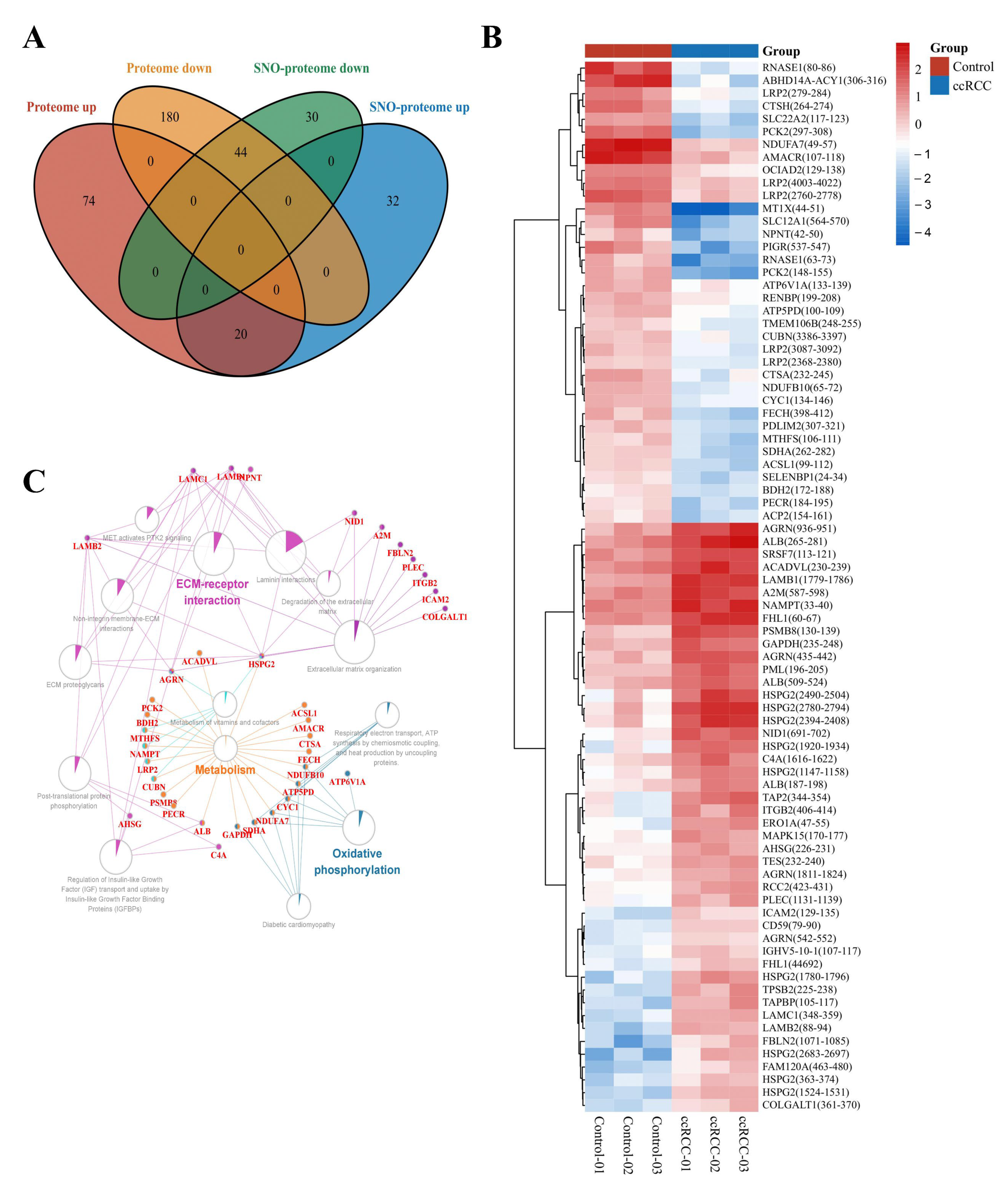 Antioxidants 12 00081 g006
