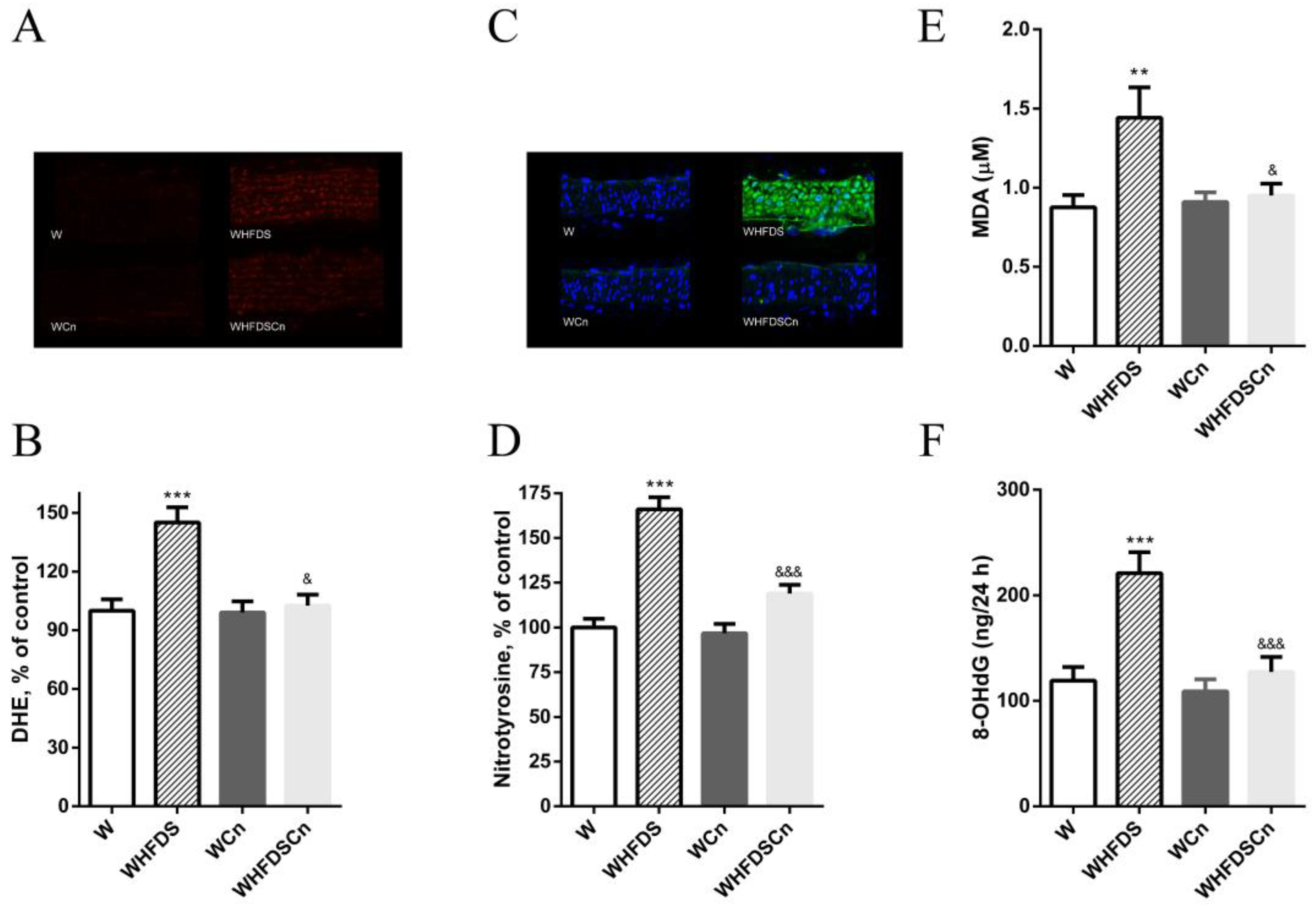 Antioxidants 12 00082 g004