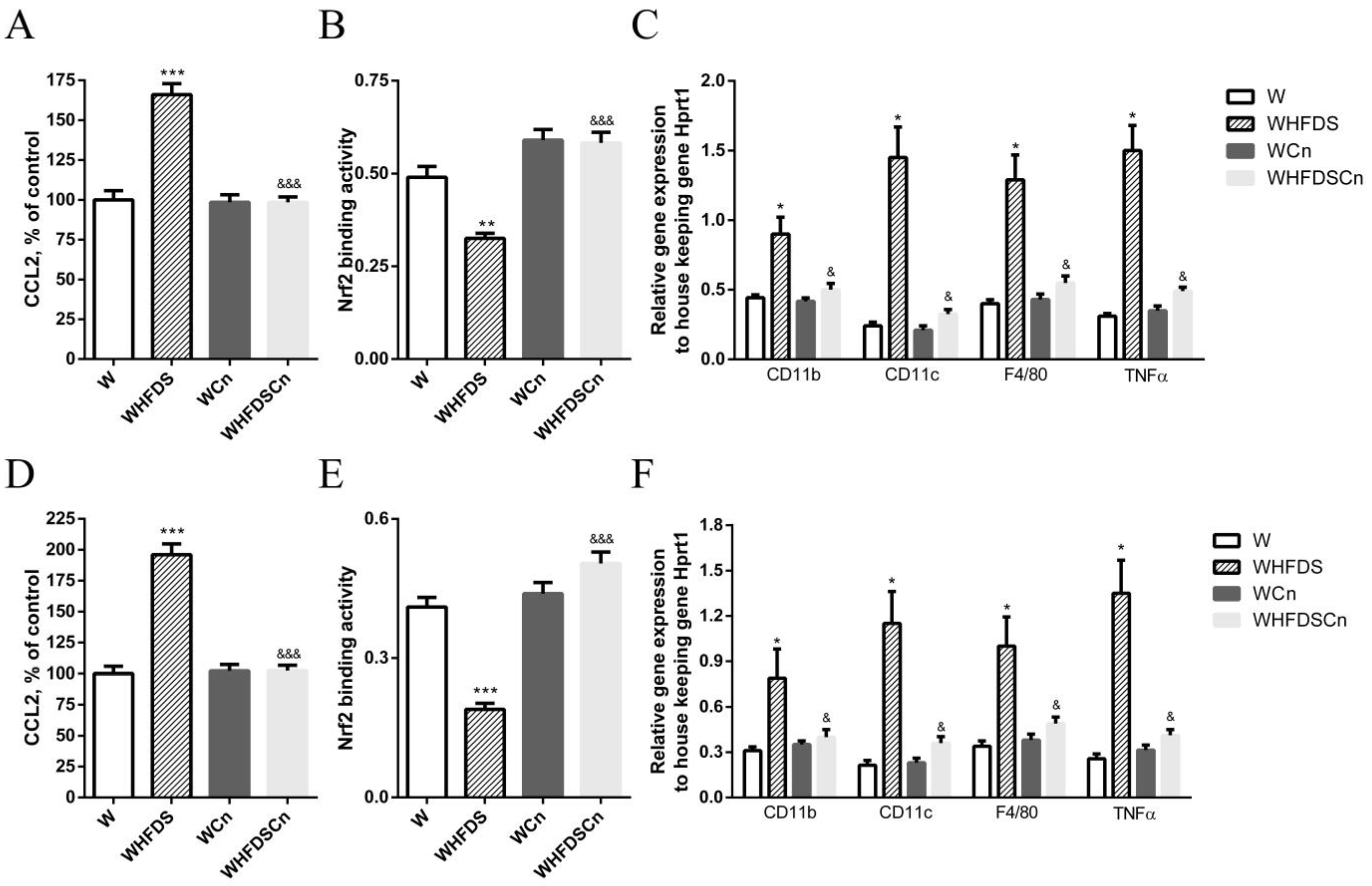 Antioxidants 12 00082 g005