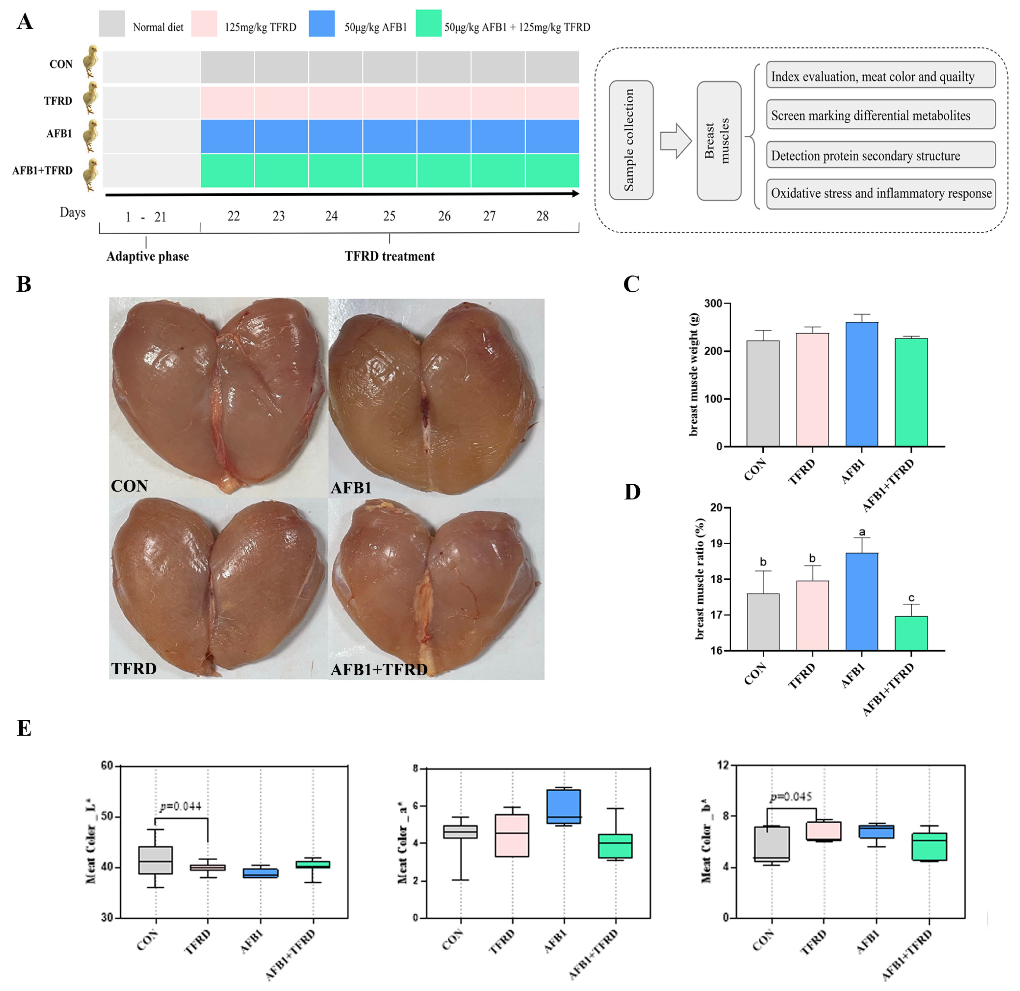 Antioxidants 12 00083 g001