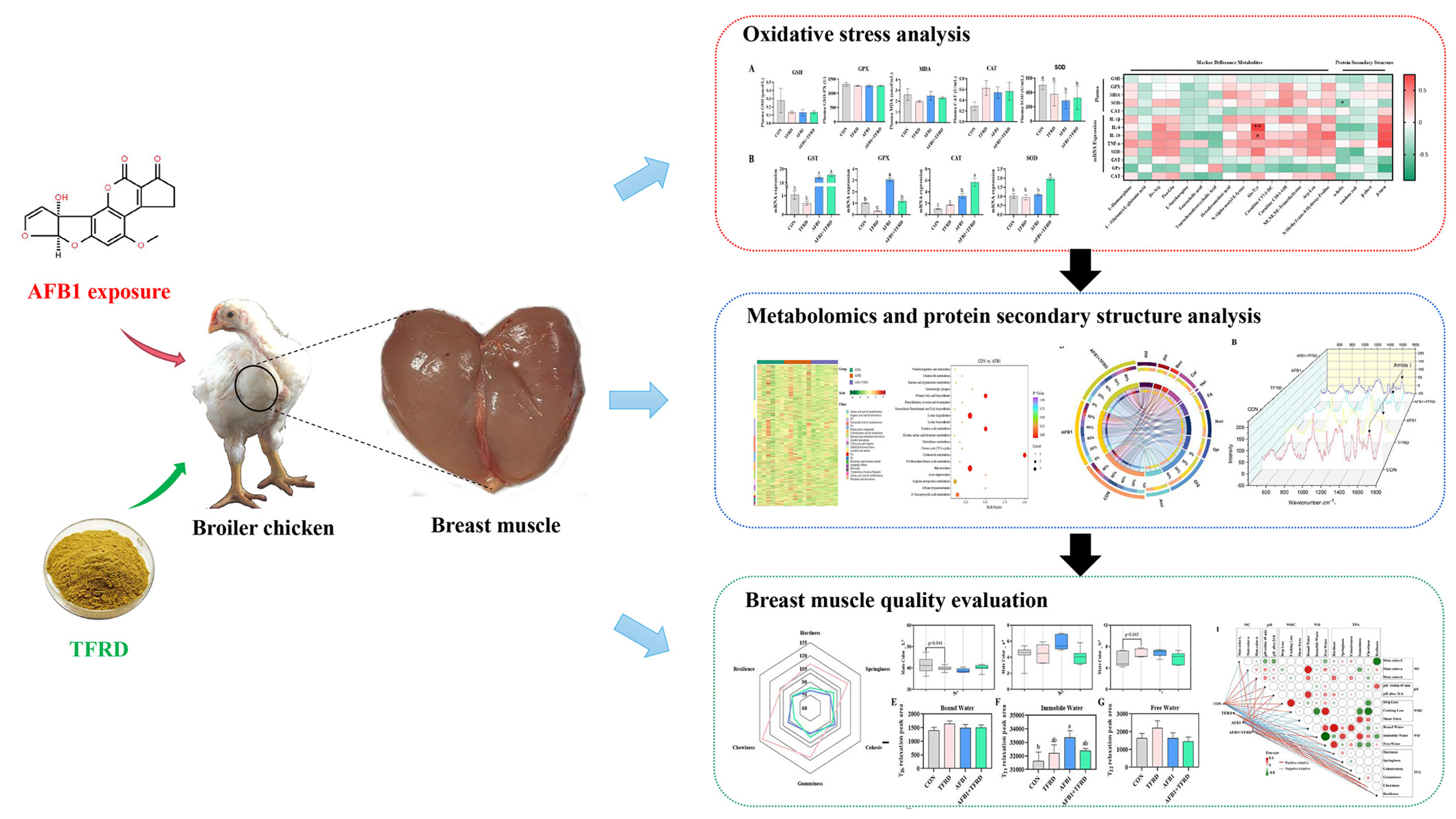 Antioxidants 12 00083 g007