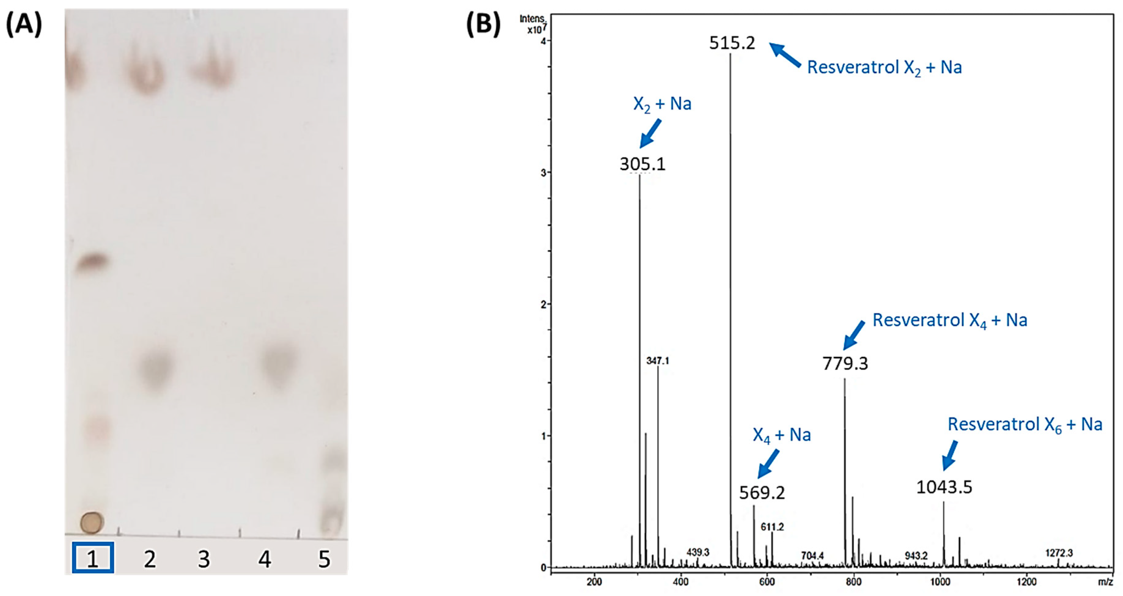 Antioxidants 12 00085 g001