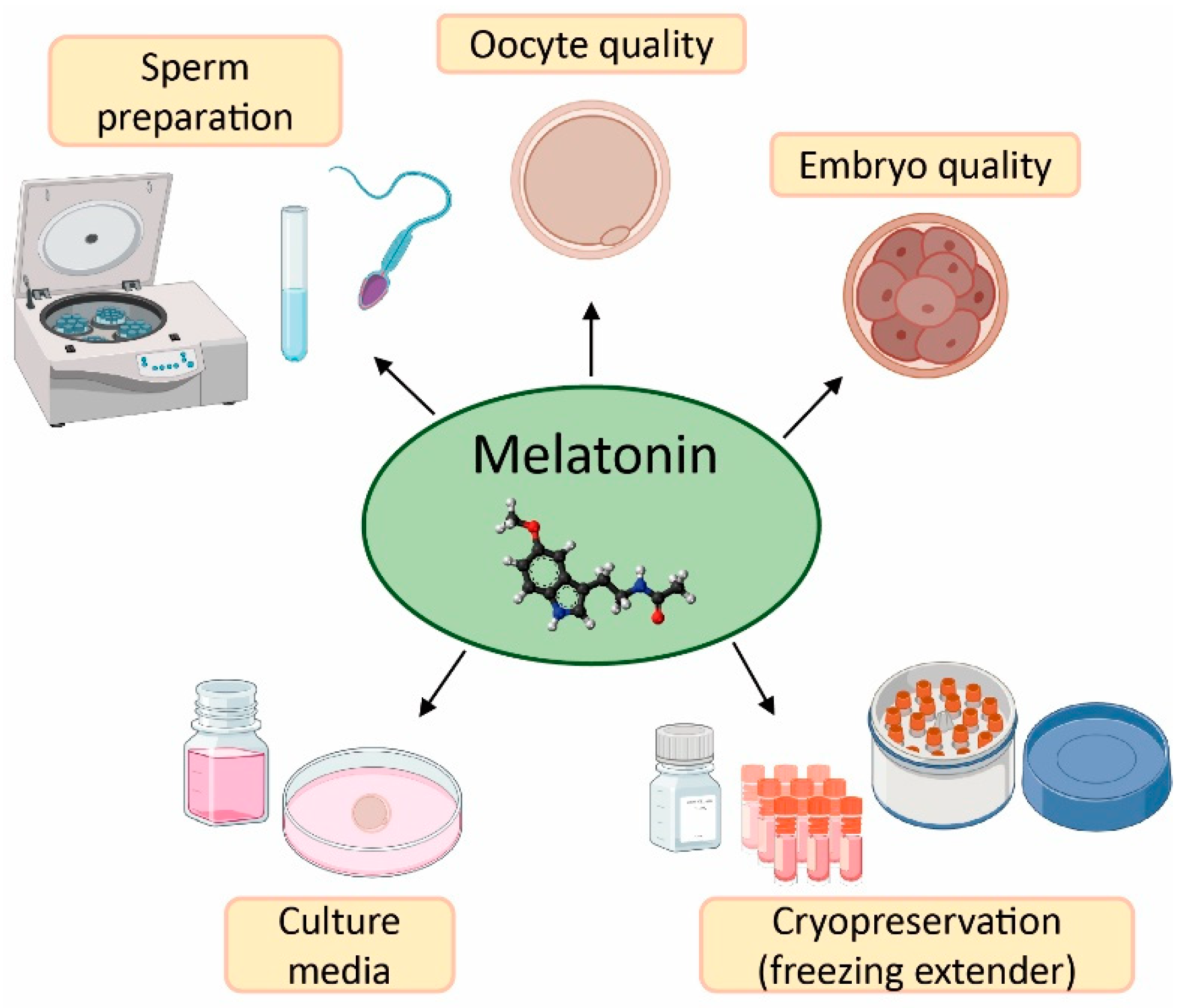 Antioxidants 12 00086 g003