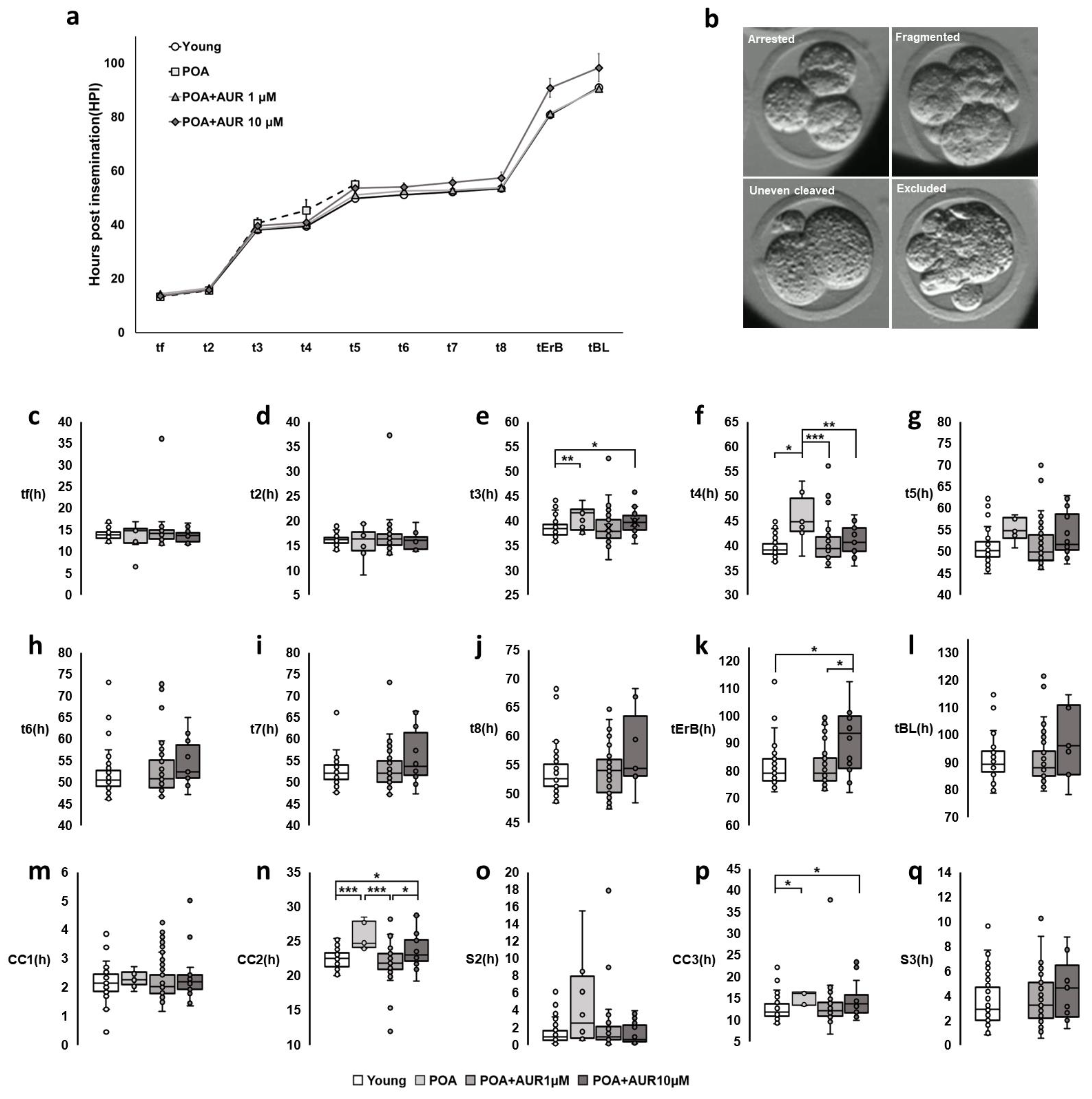 Antioxidants 12 00087 g007