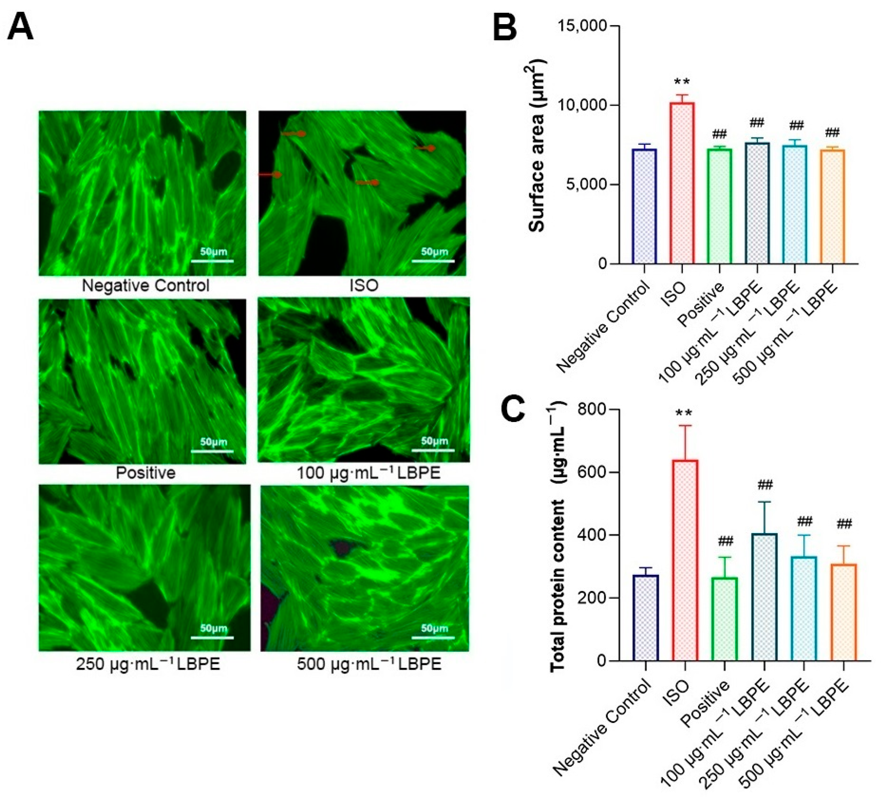 Antioxidants 12 00088 g002 Antioxidants 12 00088 g002