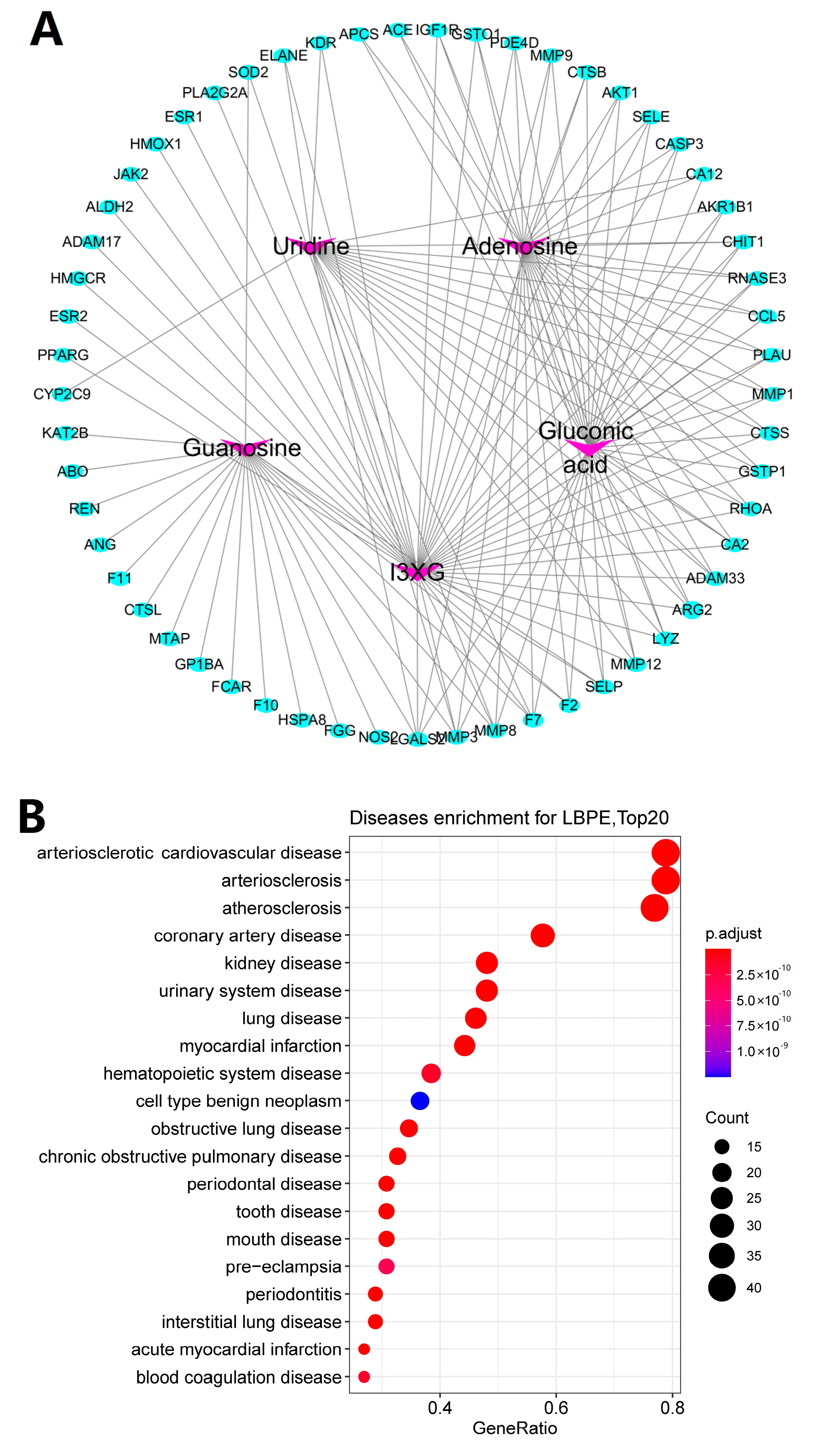 Antioxidants 12 00088 g005a Antioxidants 12 00088 g005a