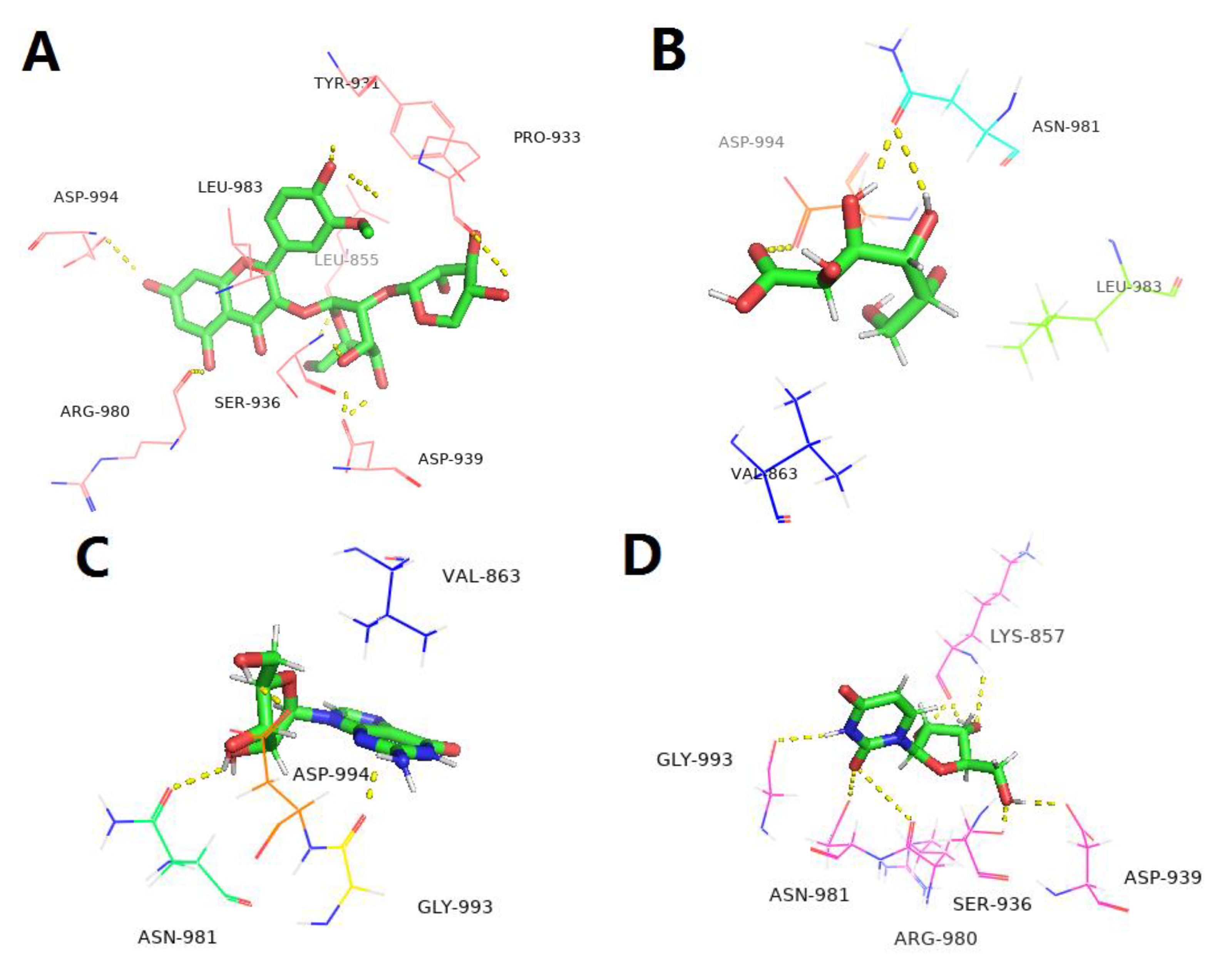 Antioxidants 12 00088 g006 Antioxidants 12 00088 g006