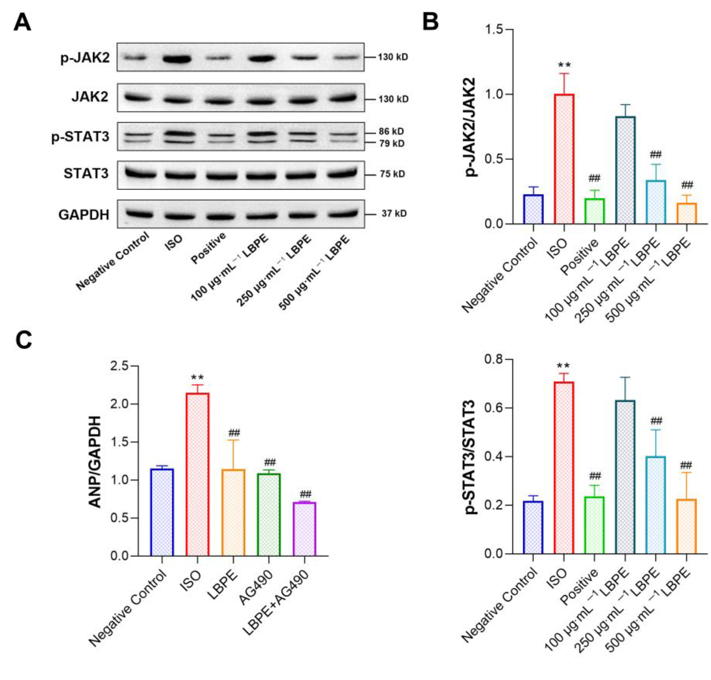 Antioxidants 12 00088 g007 Antioxidants 12 00088 g007