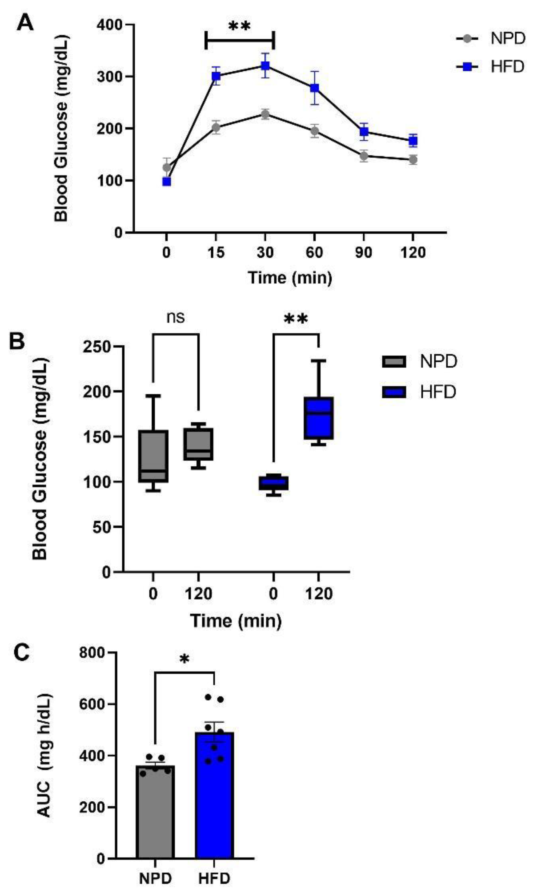 Antioxidants 12 00089 g002