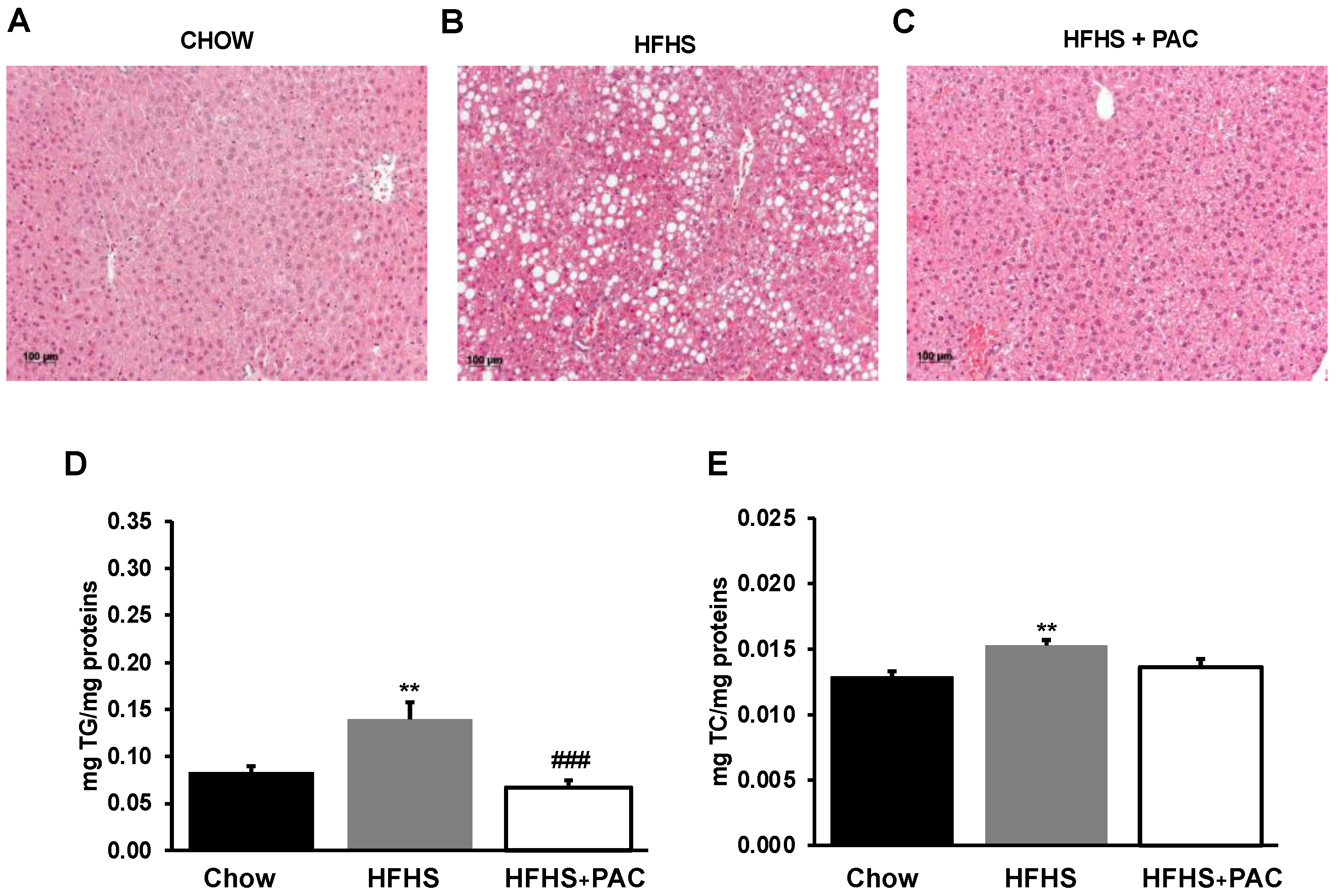 Antioxidants 12 00090 g005