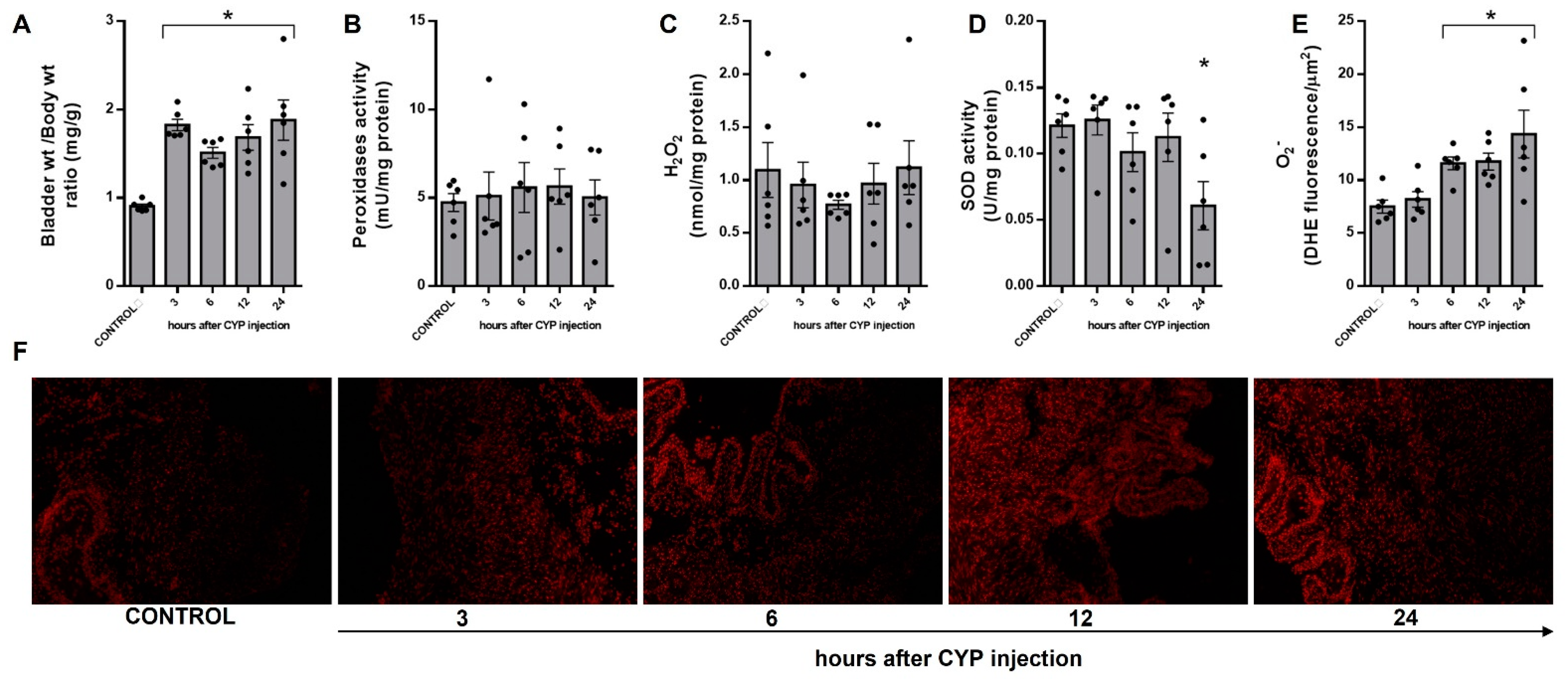 Antioxidants 12 00092 g001