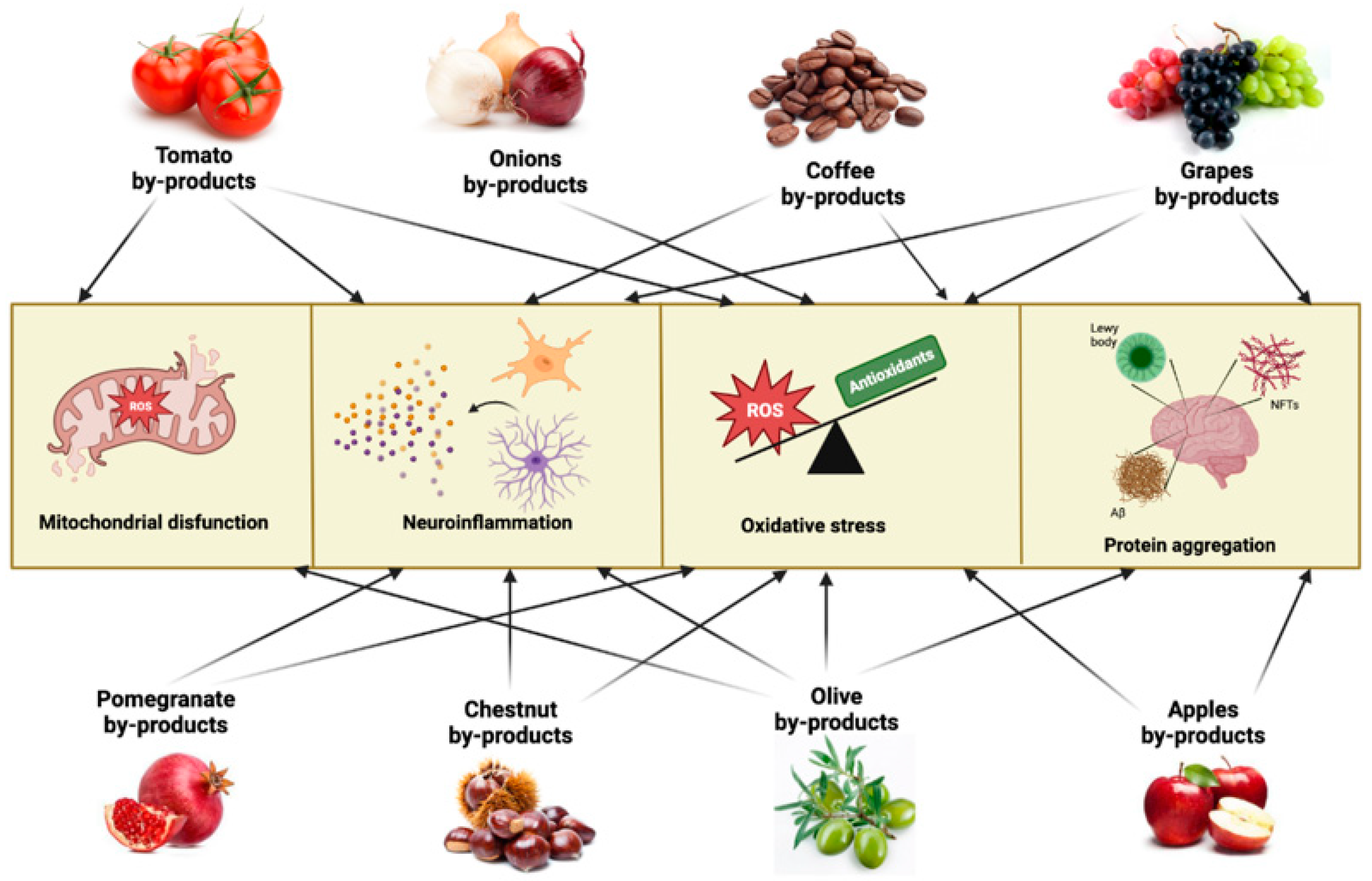 Antioxidants 12 00094 g002