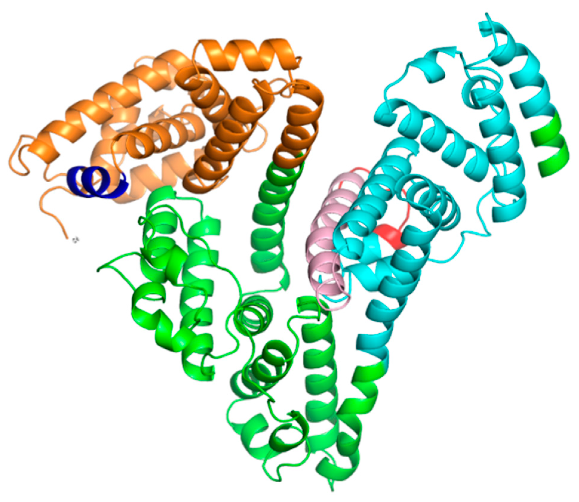 Antioxidants 12 00096 g001