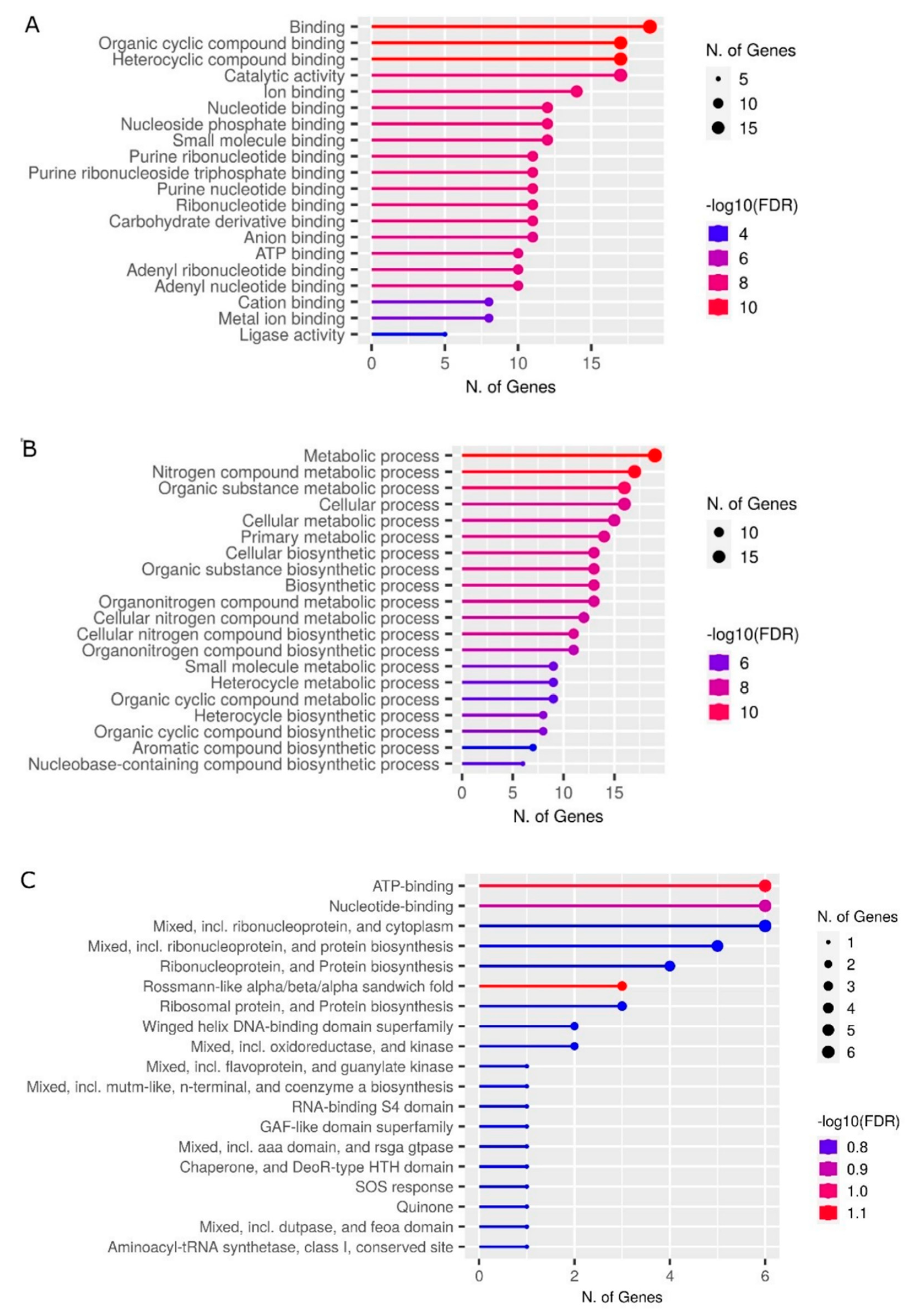 Antioxidants 12 00096 g005