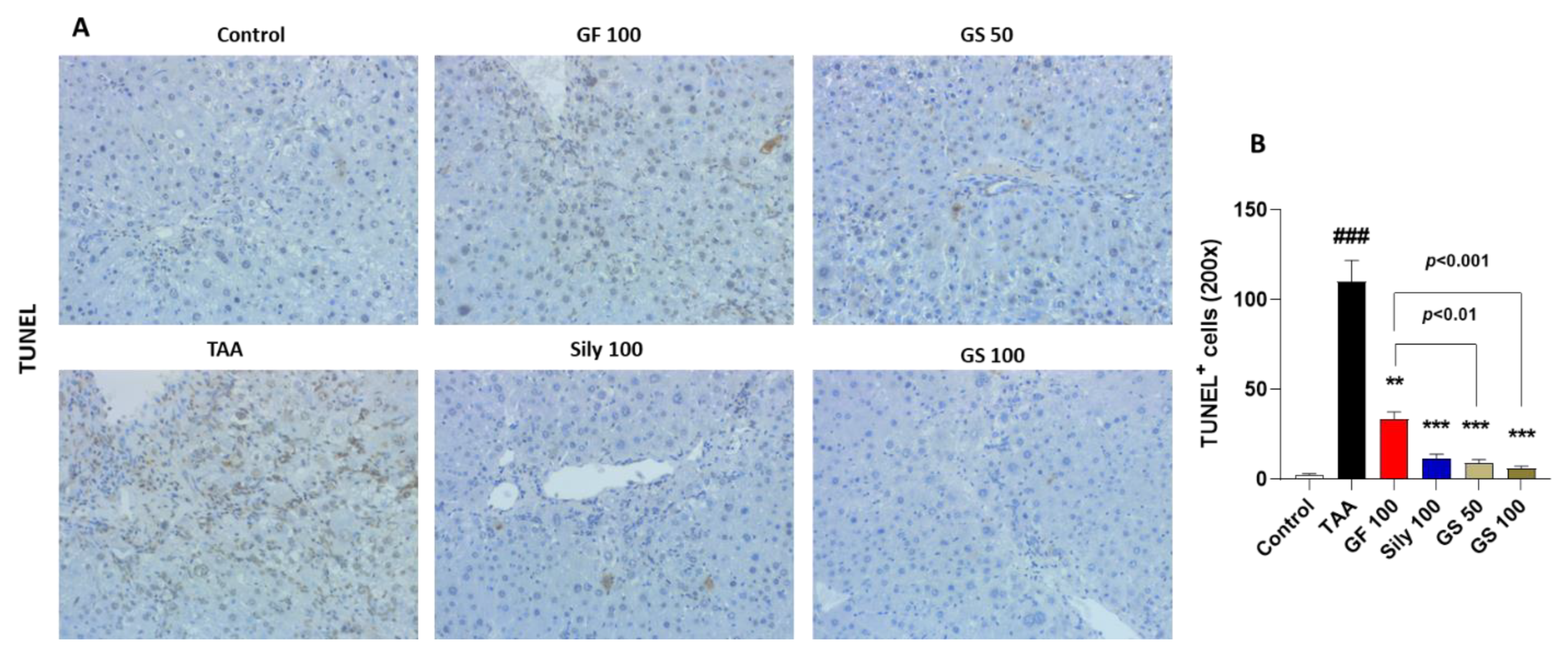 Antioxidants 12 00097 g002