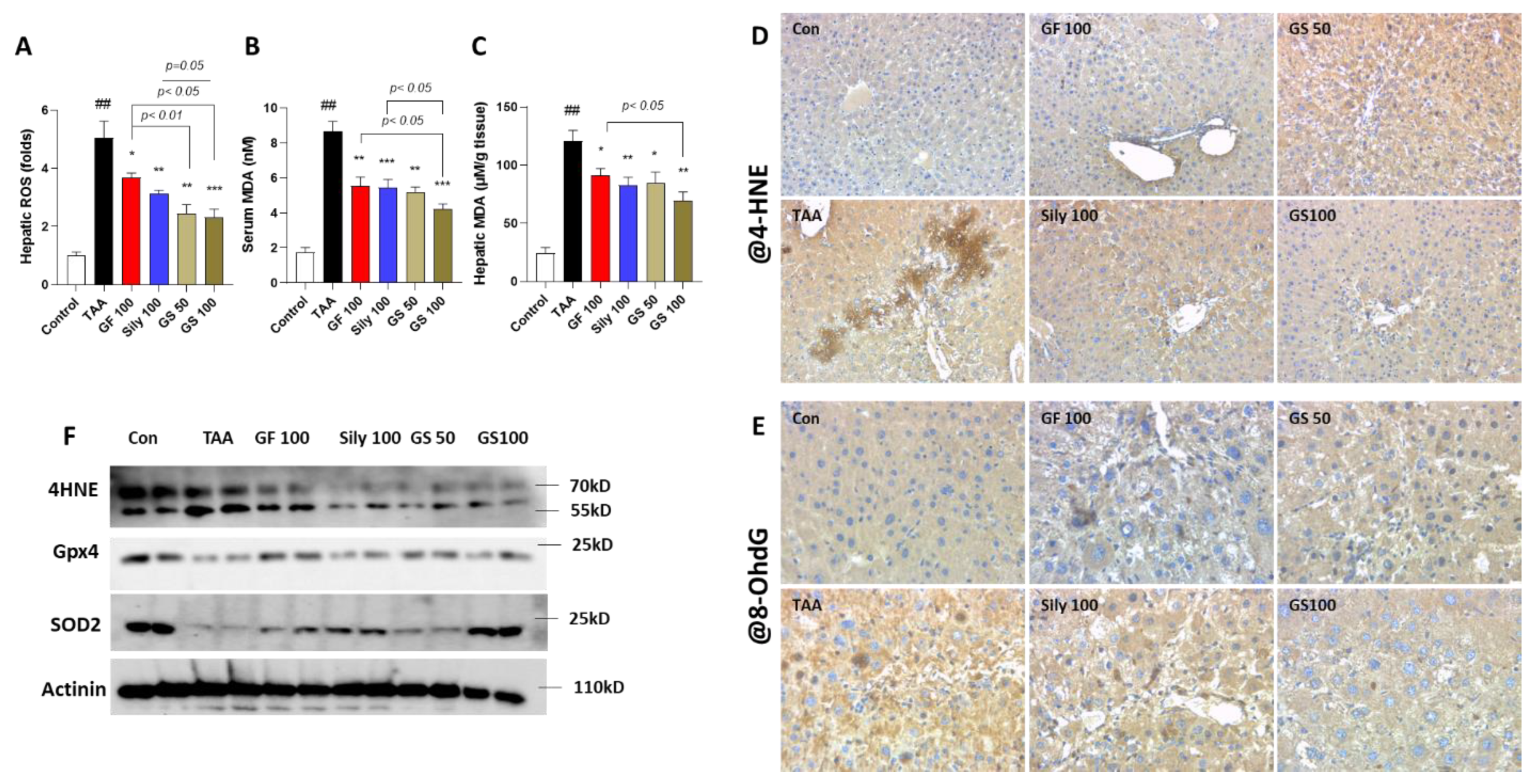 Antioxidants 12 00097 g003