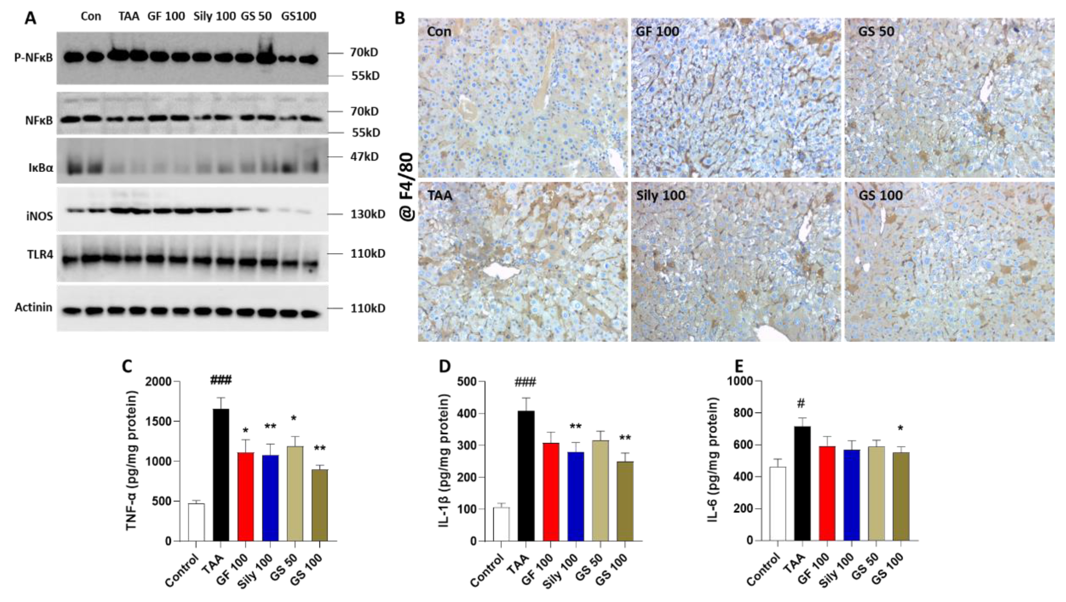 Antioxidants 12 00097 g004