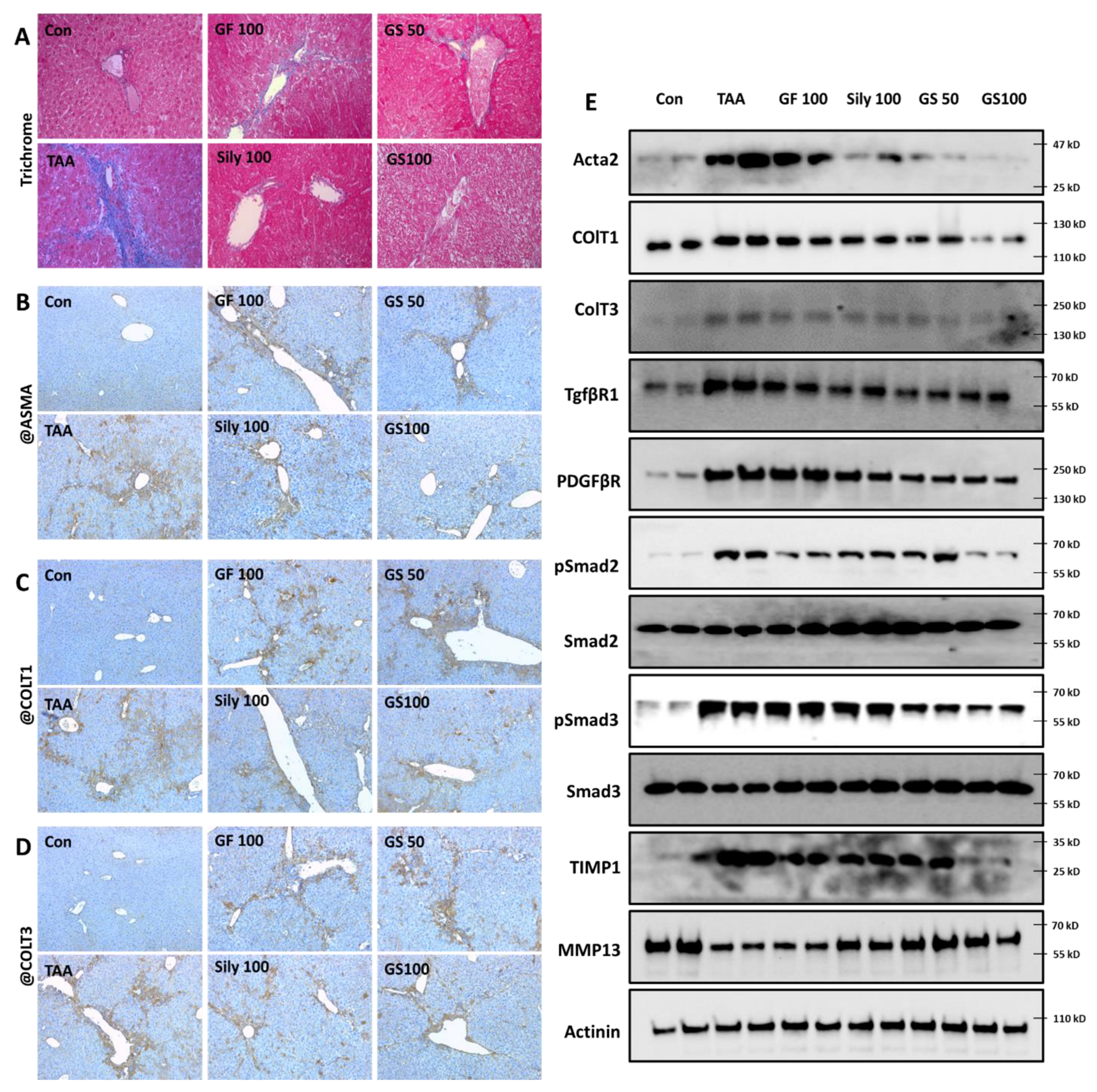 Antioxidants 12 00097 g005