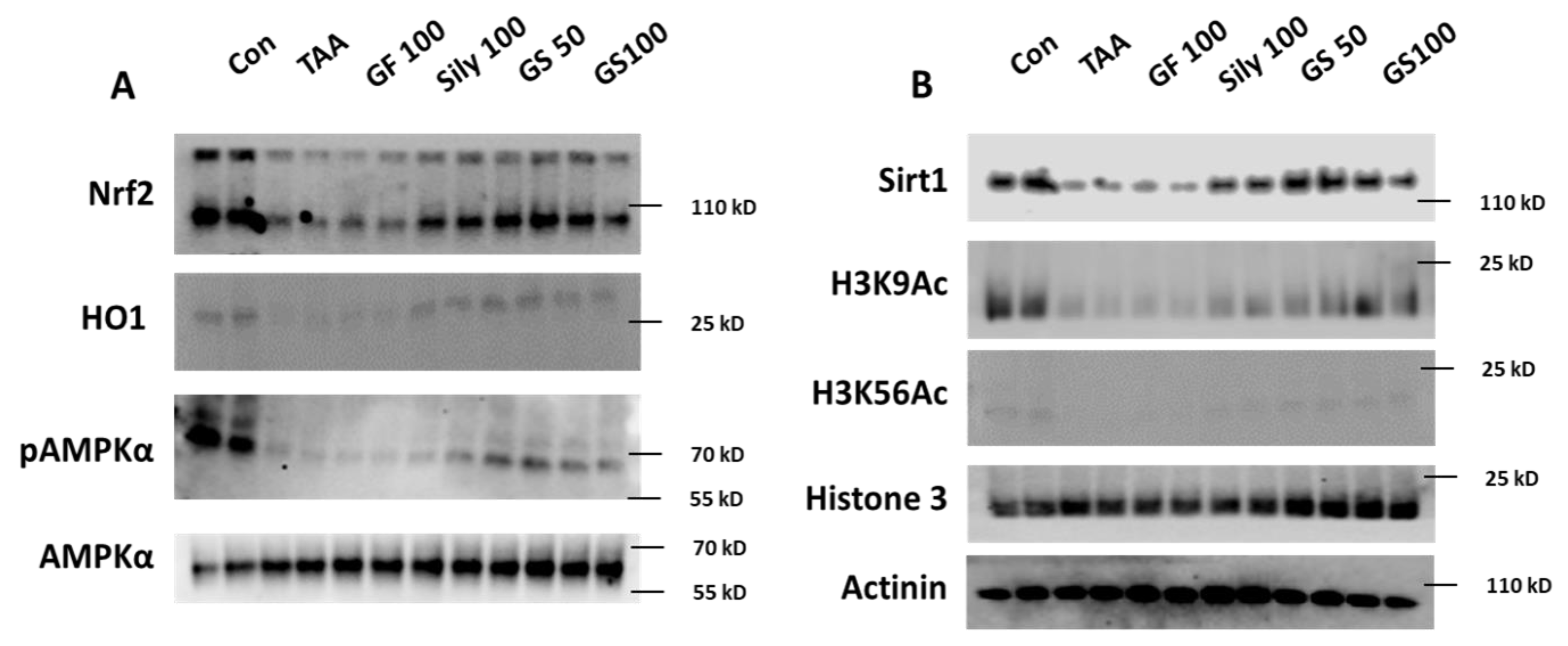 Antioxidants 12 00097 g006