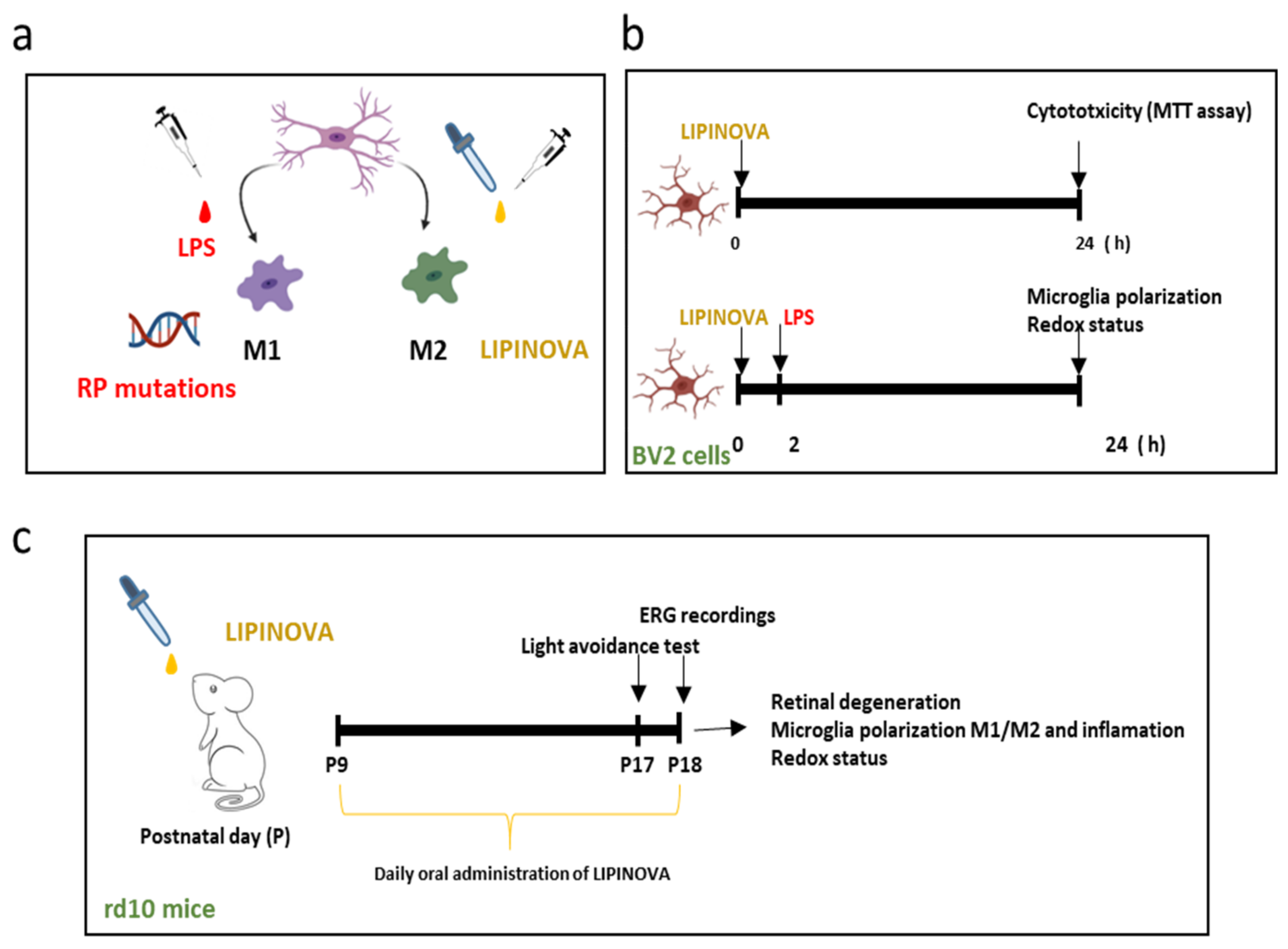 Antioxidants 12 00098 g002 Antioxidants 12 00098 g002