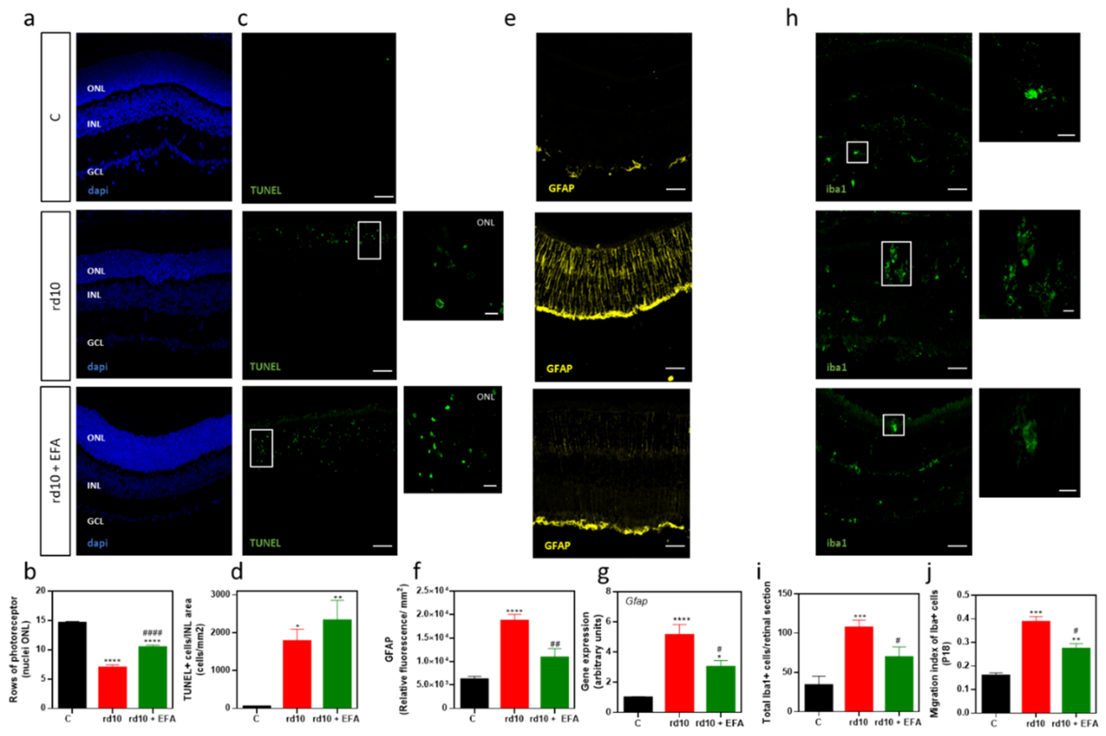 Antioxidants 12 00098 g006 Antioxidants 12 00098 g006