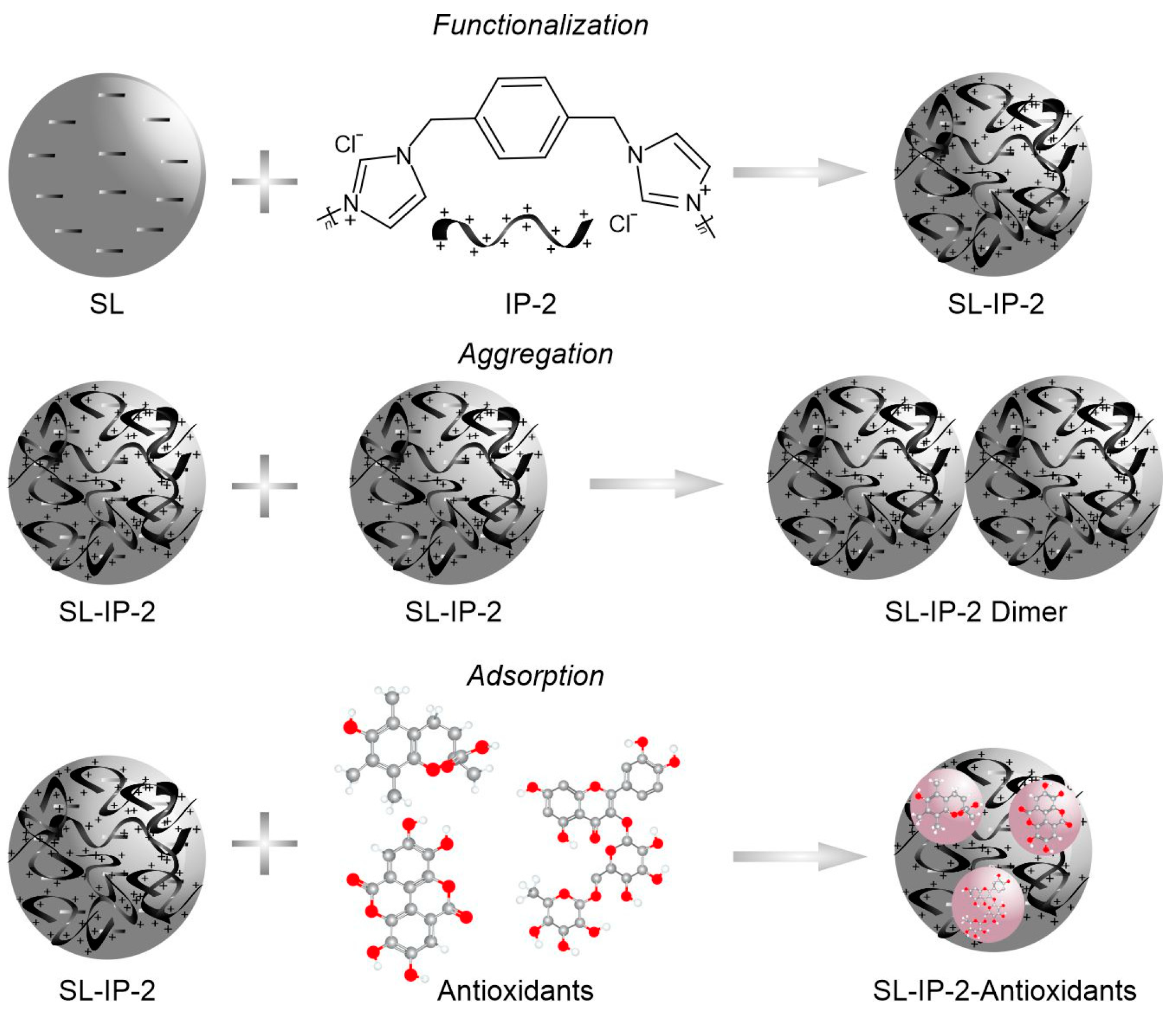 Antioxidants 12 00099 sch001