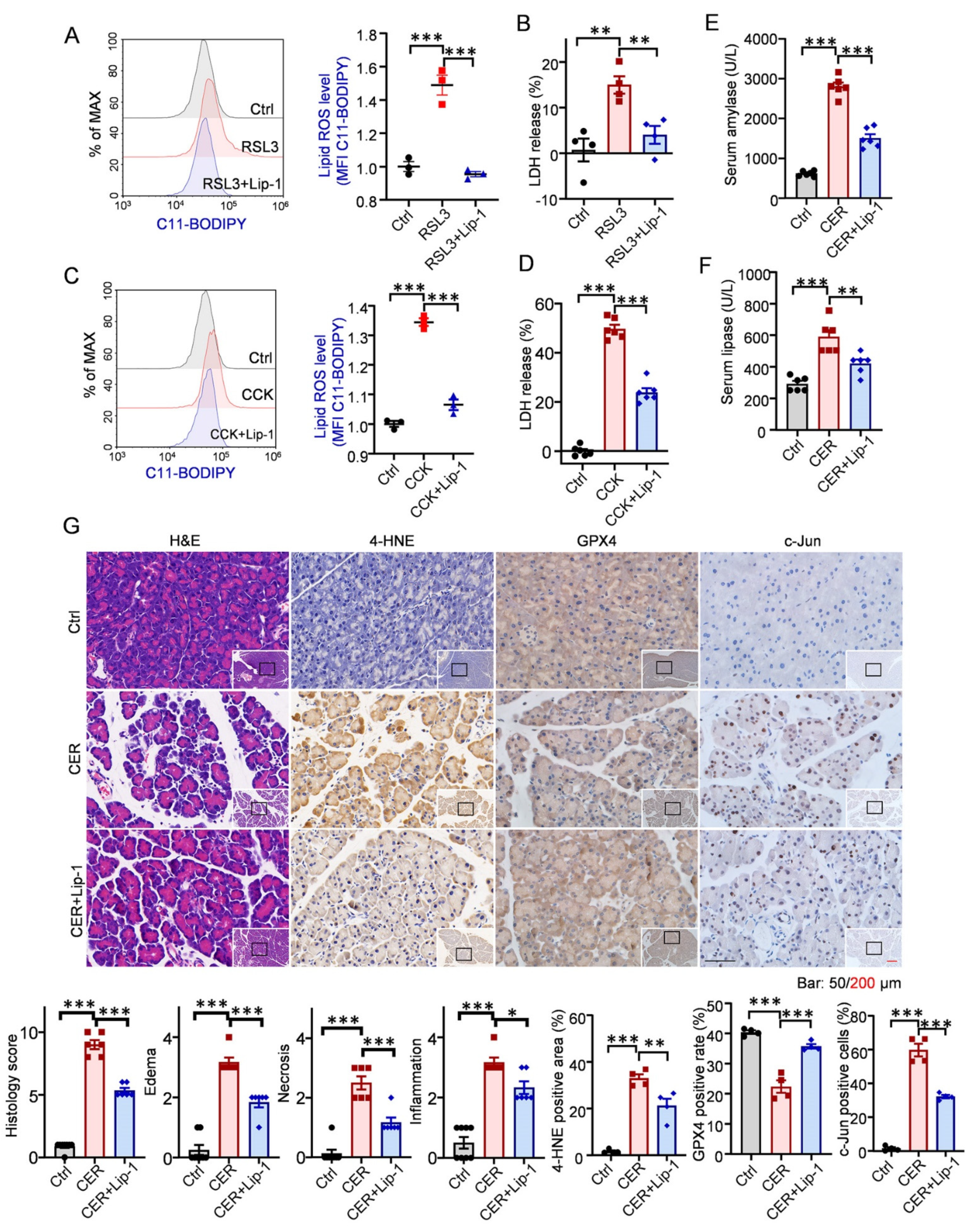 Antioxidants 12 00100 g002
