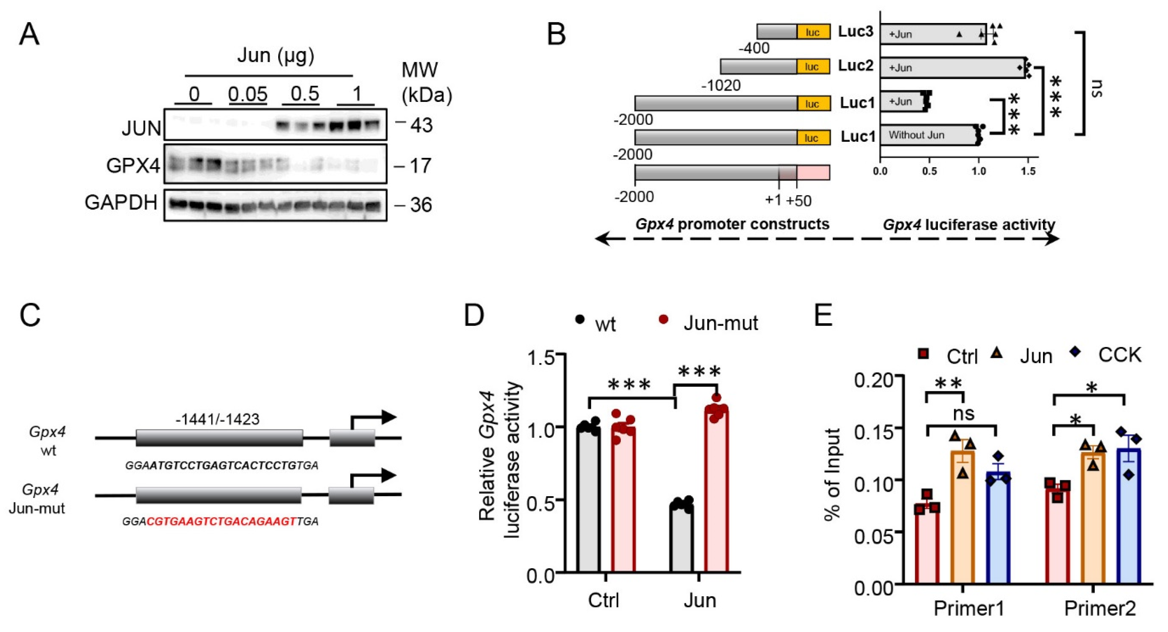 Antioxidants 12 00100 g003
