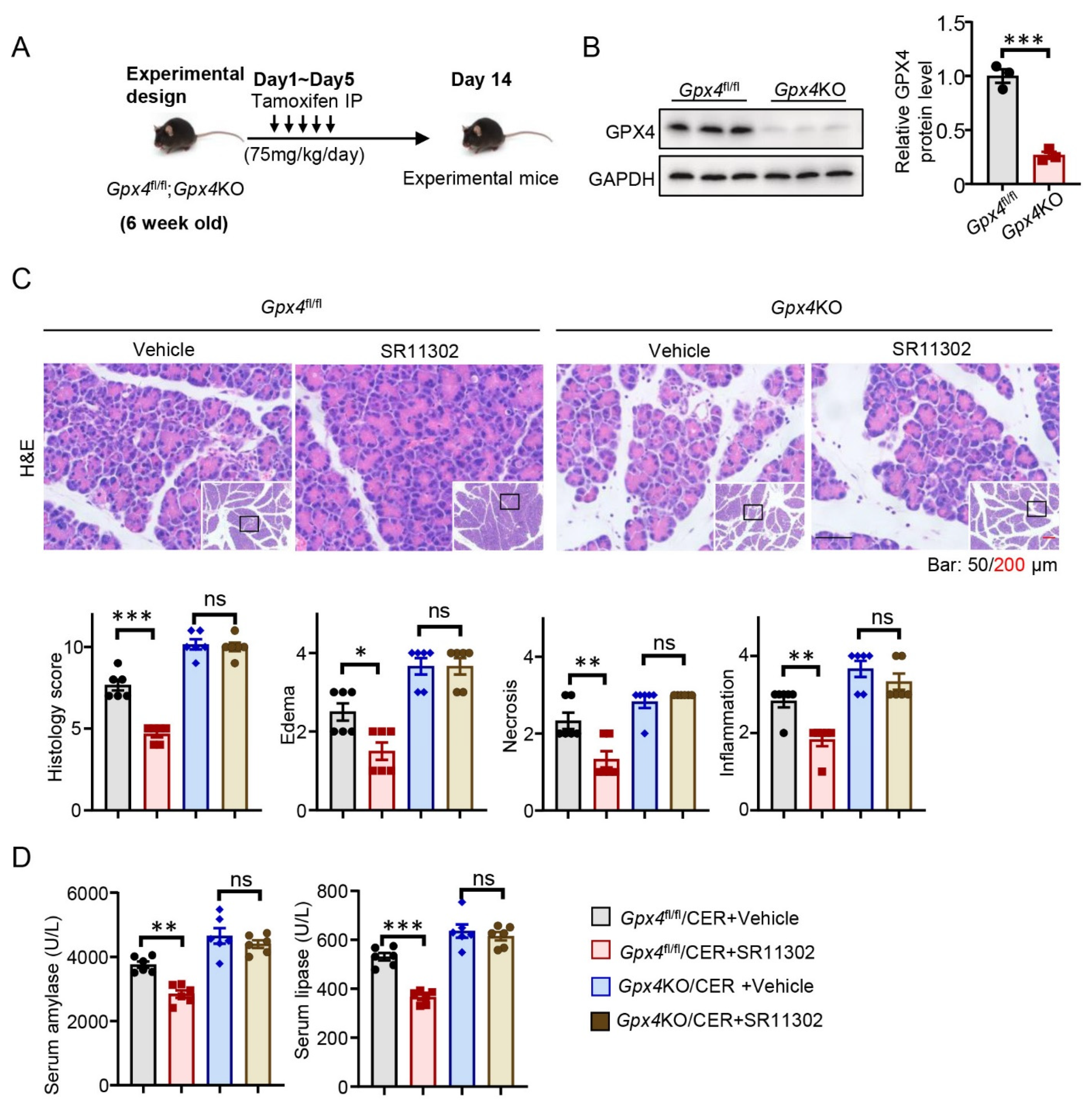 Antioxidants 12 00100 g005